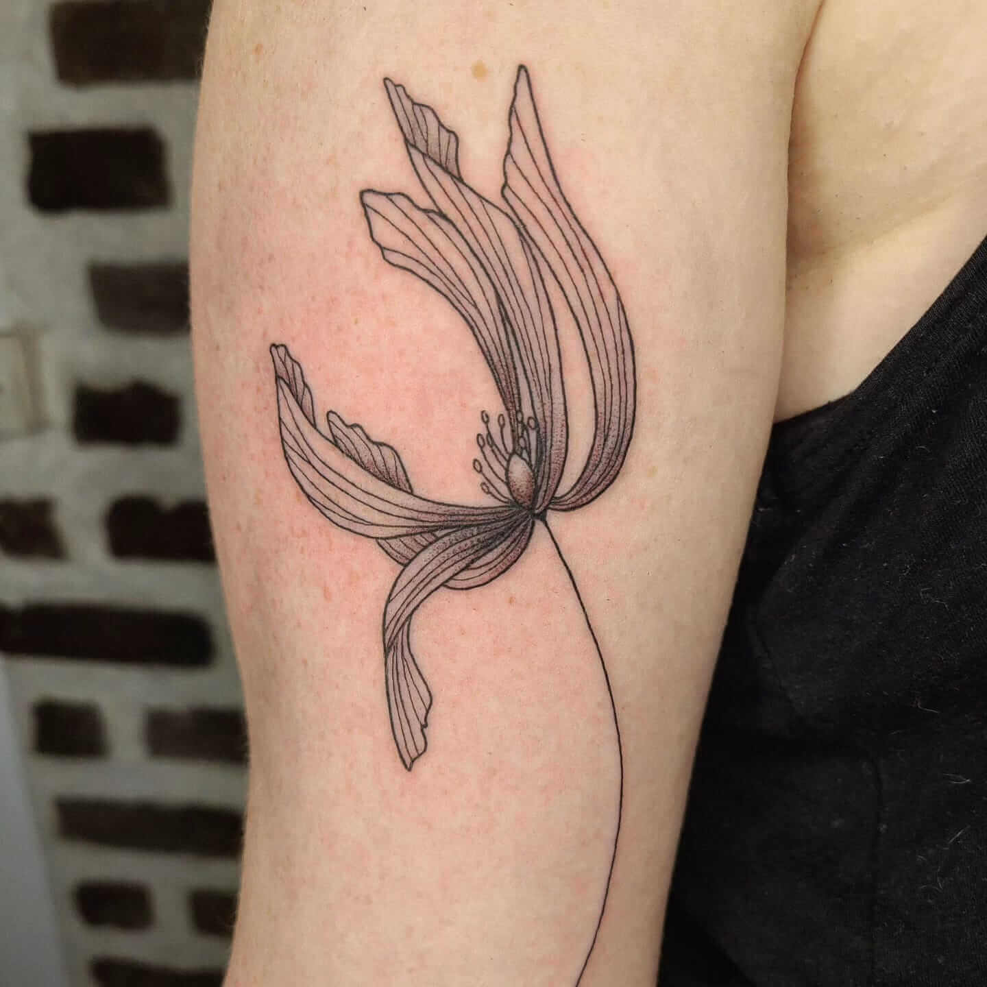 Tatouage - fleur | Canaille Illustration