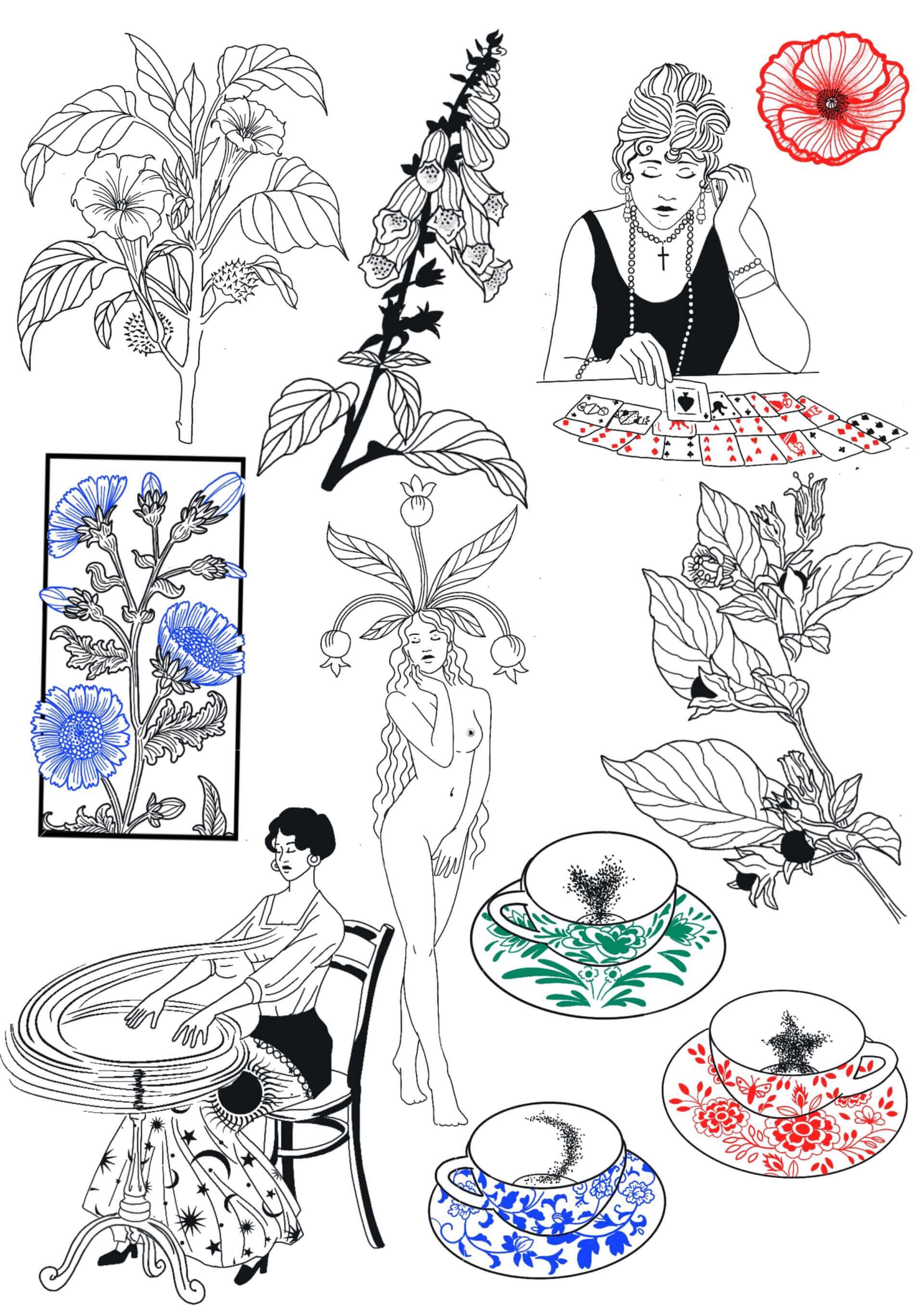 Flashbook - ésotérique 2 | Canaille Illustration