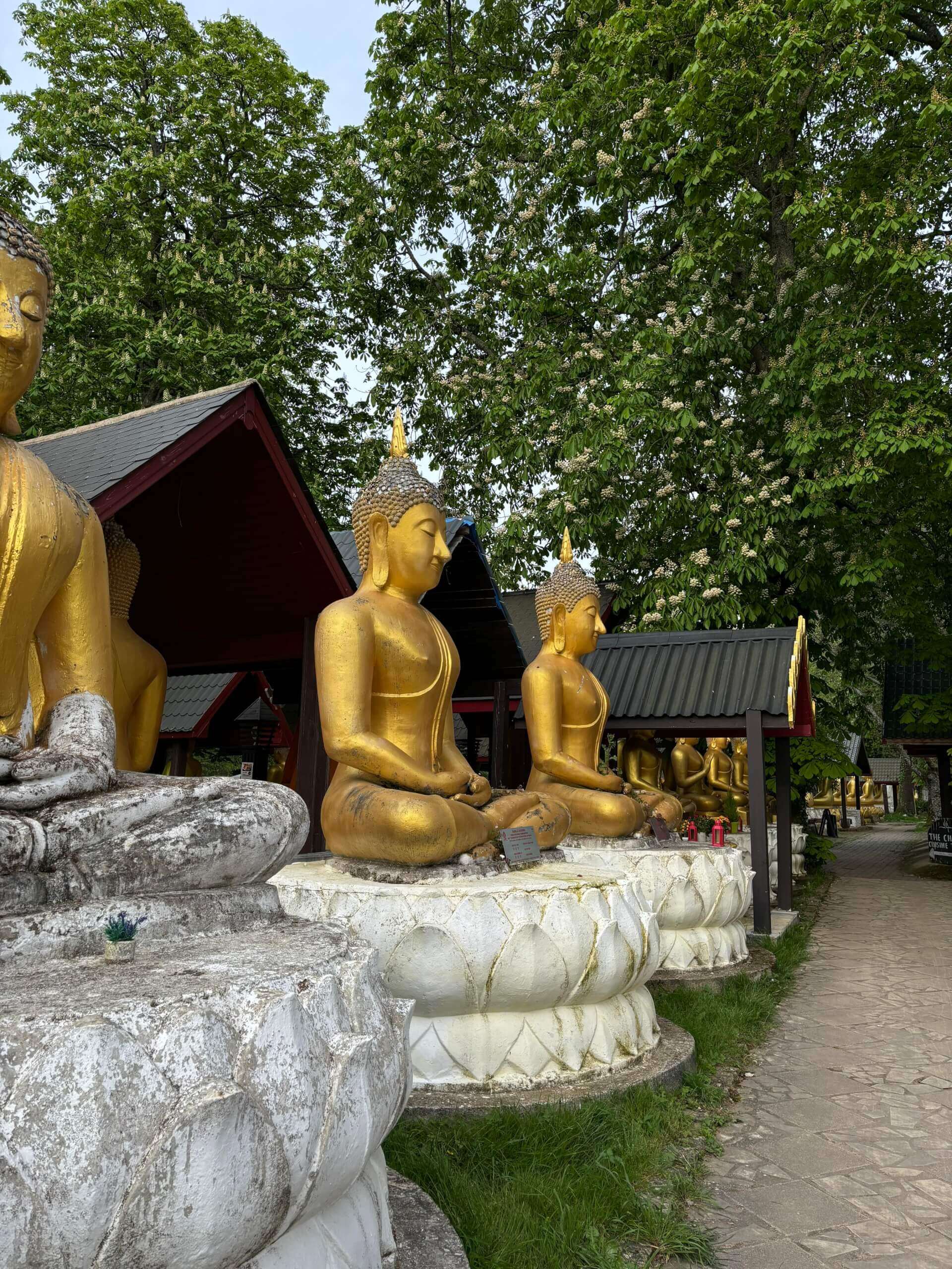 - | Sourires d'Enfants