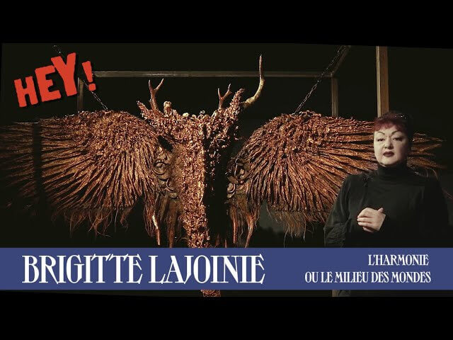 Anne Richard au sujet du travail de BRIGITTE LAJOINIE