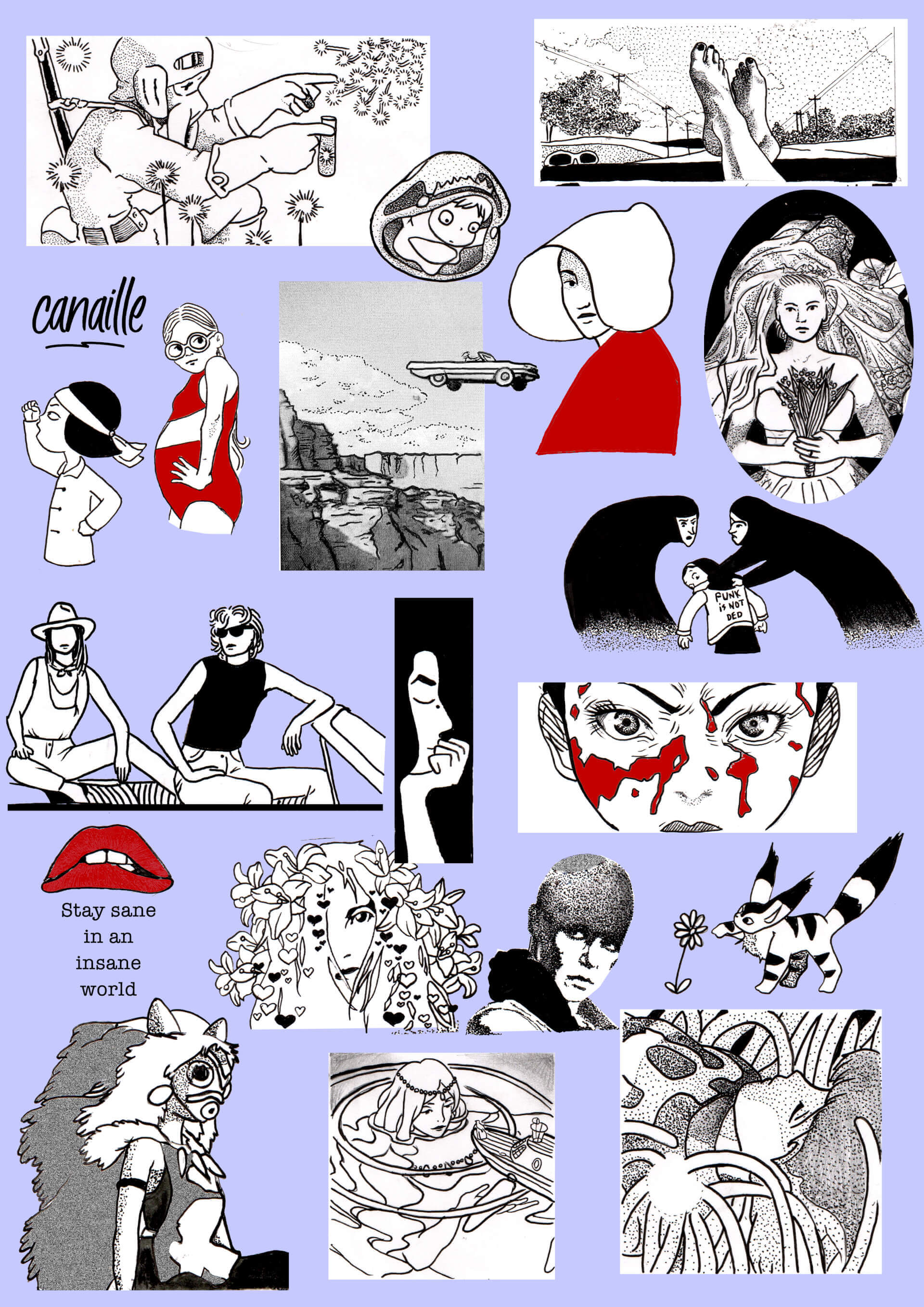 Flash book - cinéma | Canaille Illustration