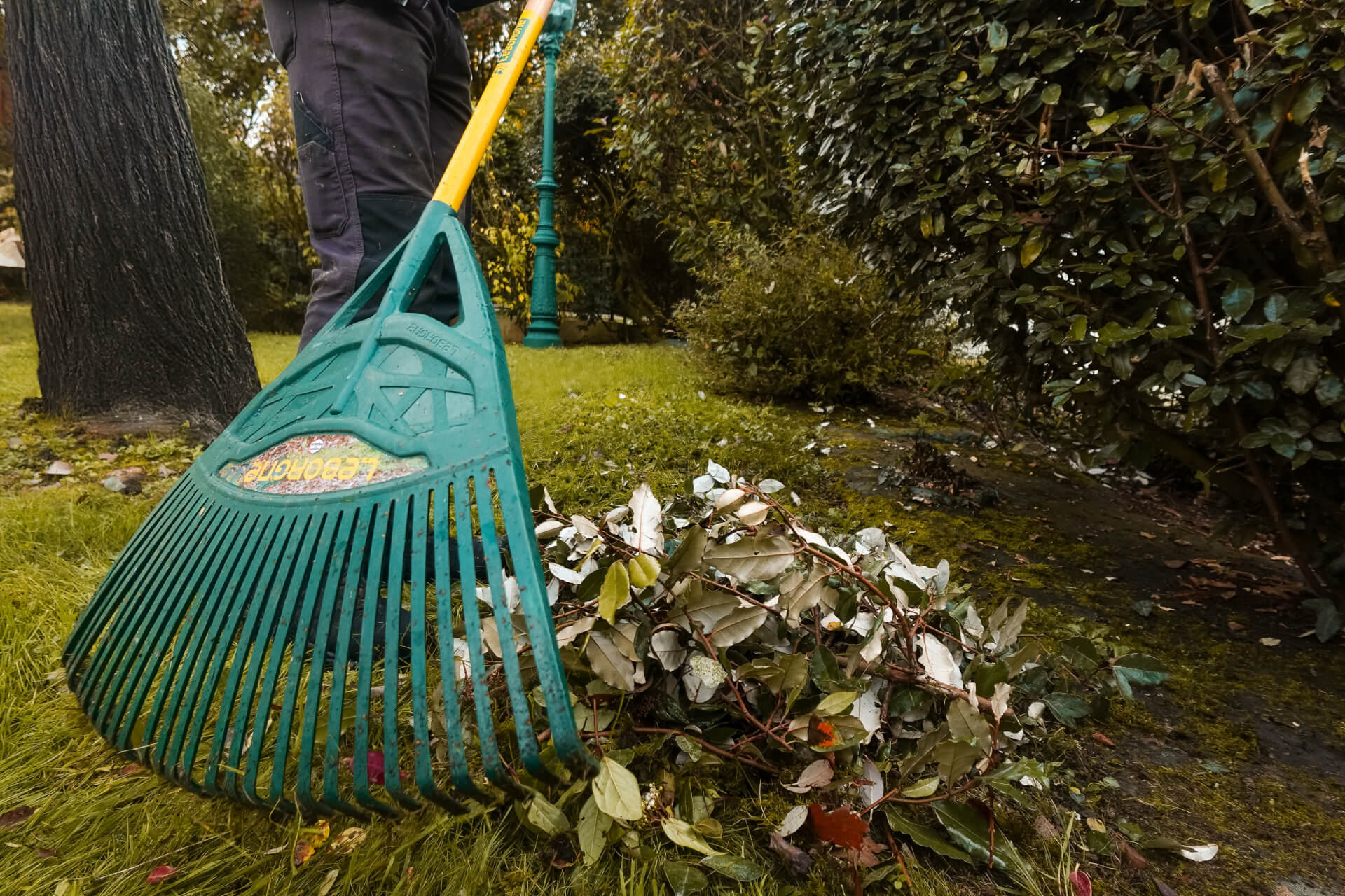 Soc Emplois et Services