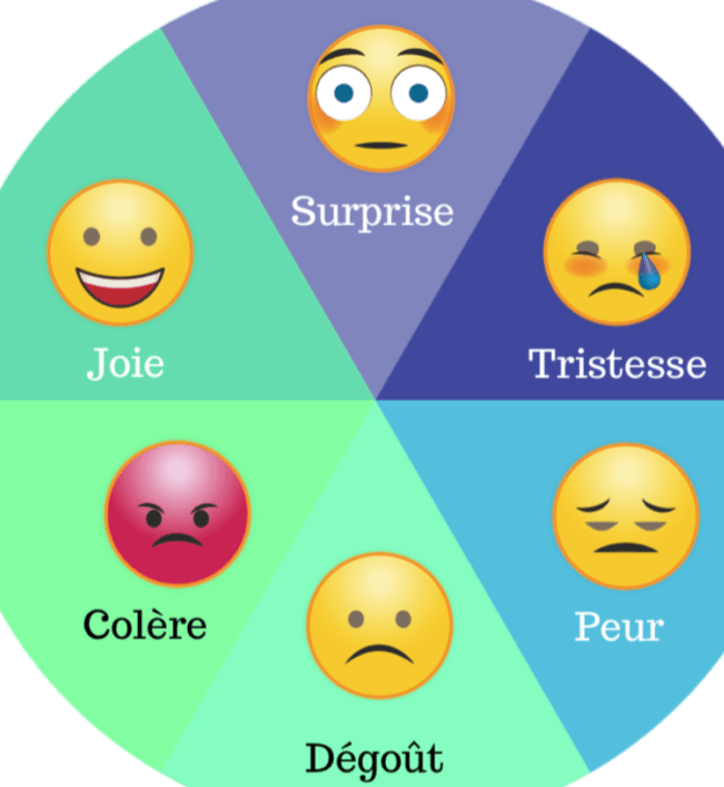 Emotions et valeurs | CARIA