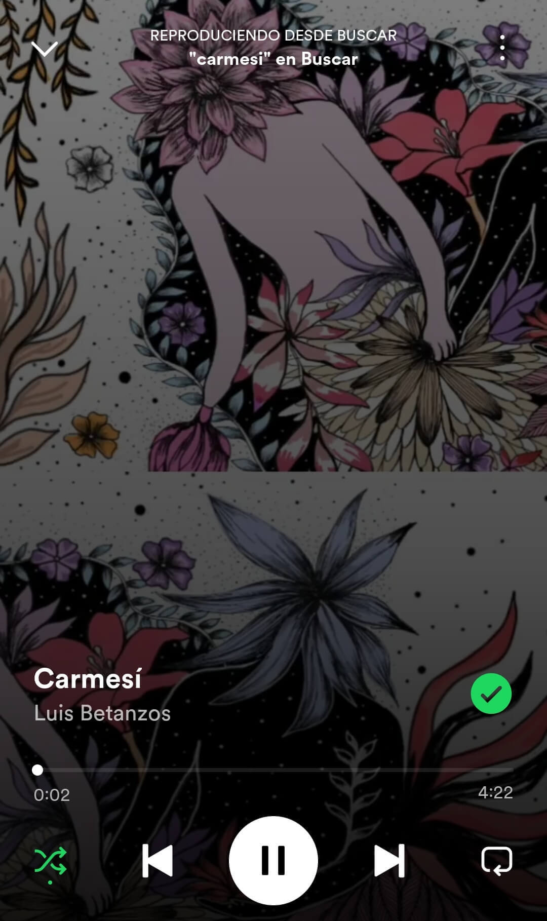 Collaboration avec Luis Betanza: Carmesi | Liana Perez