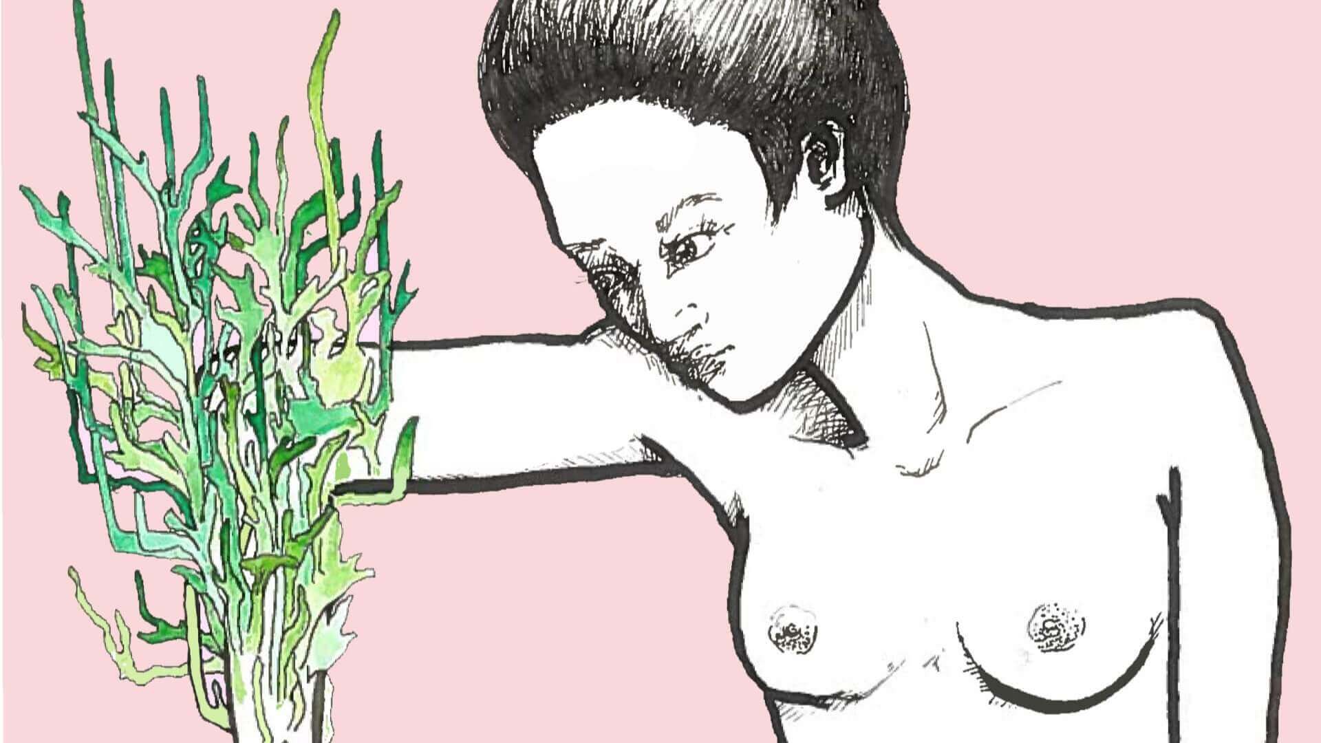 Canaille Illustration