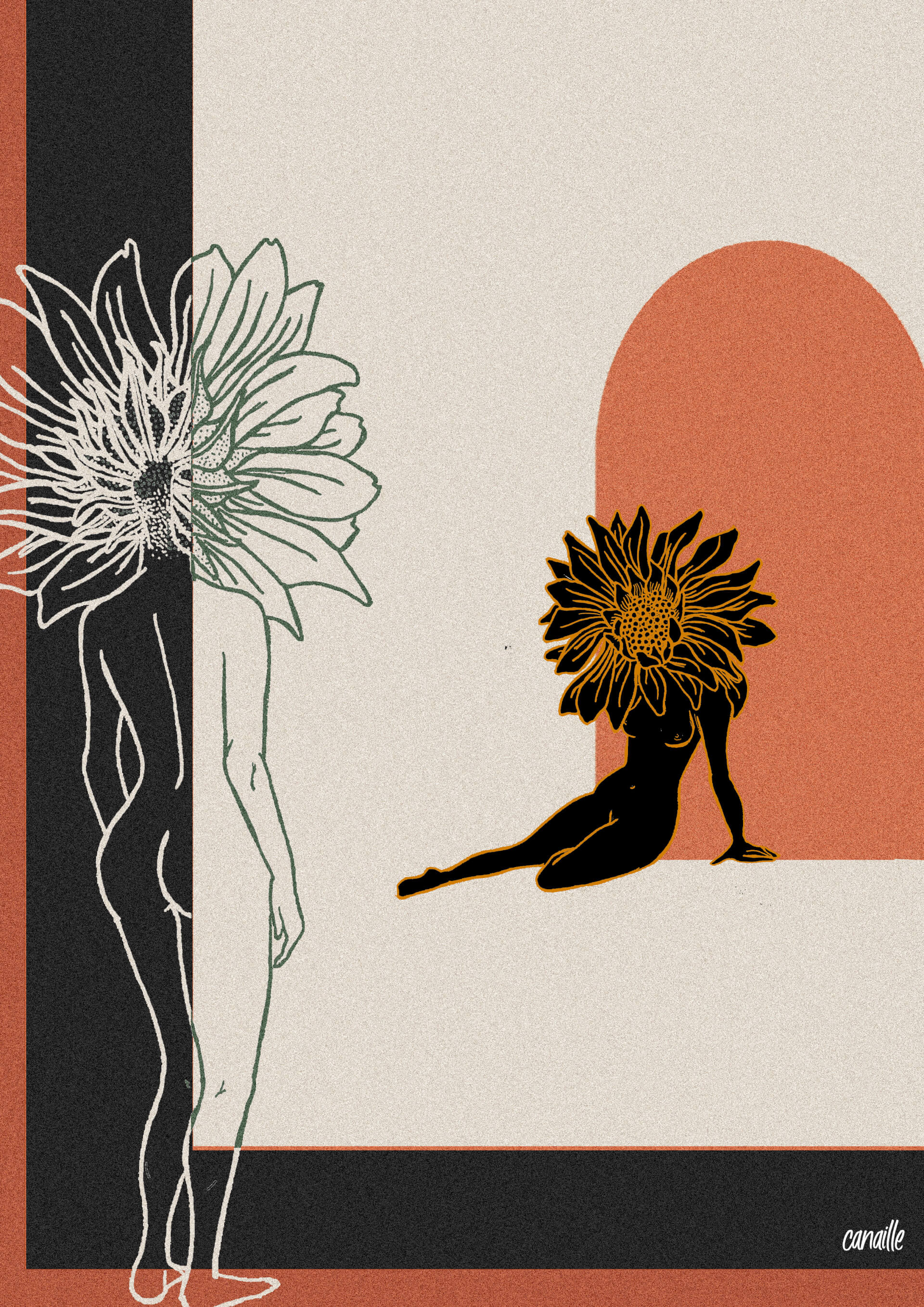 - | Canaille Illustration