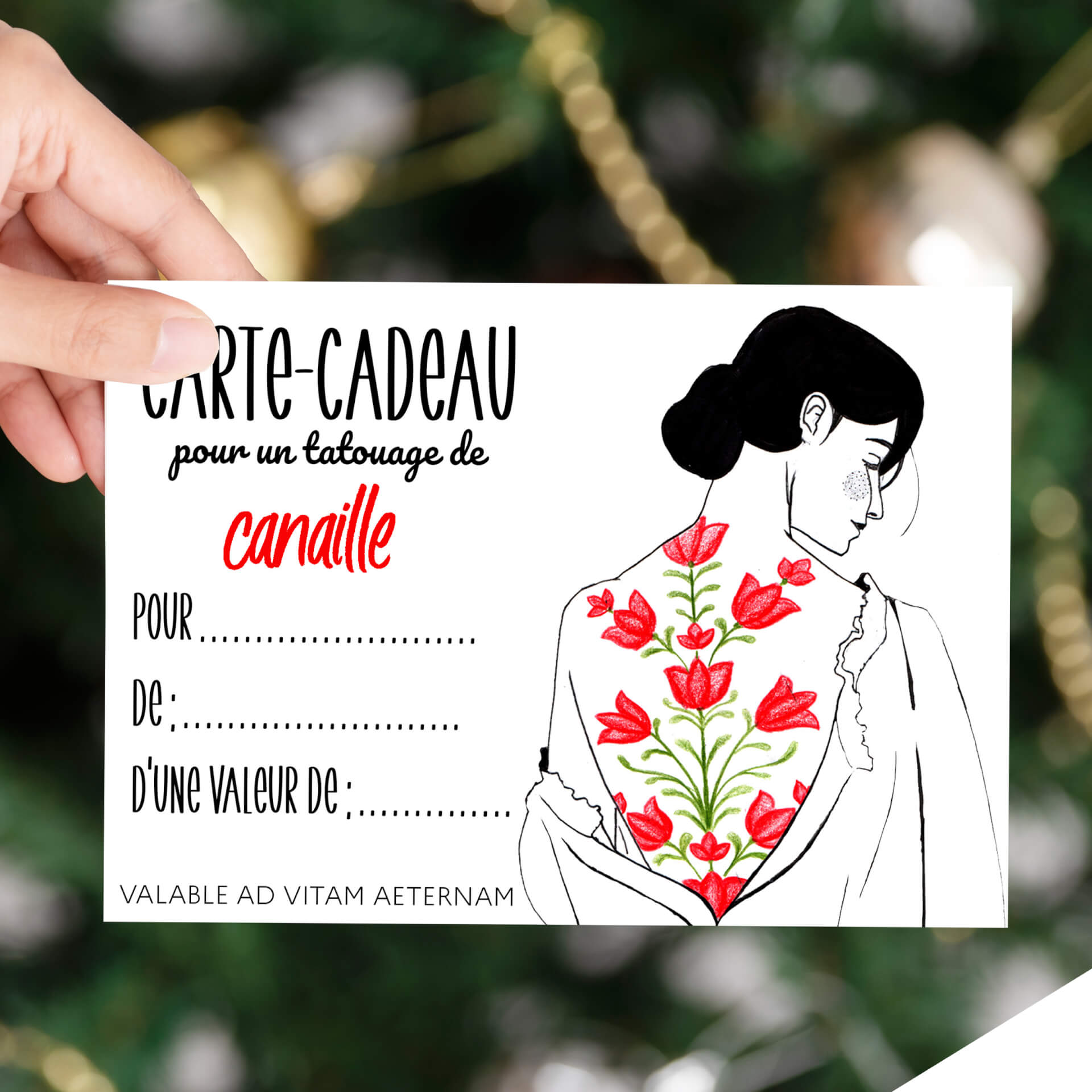 - | Canaille Illustration