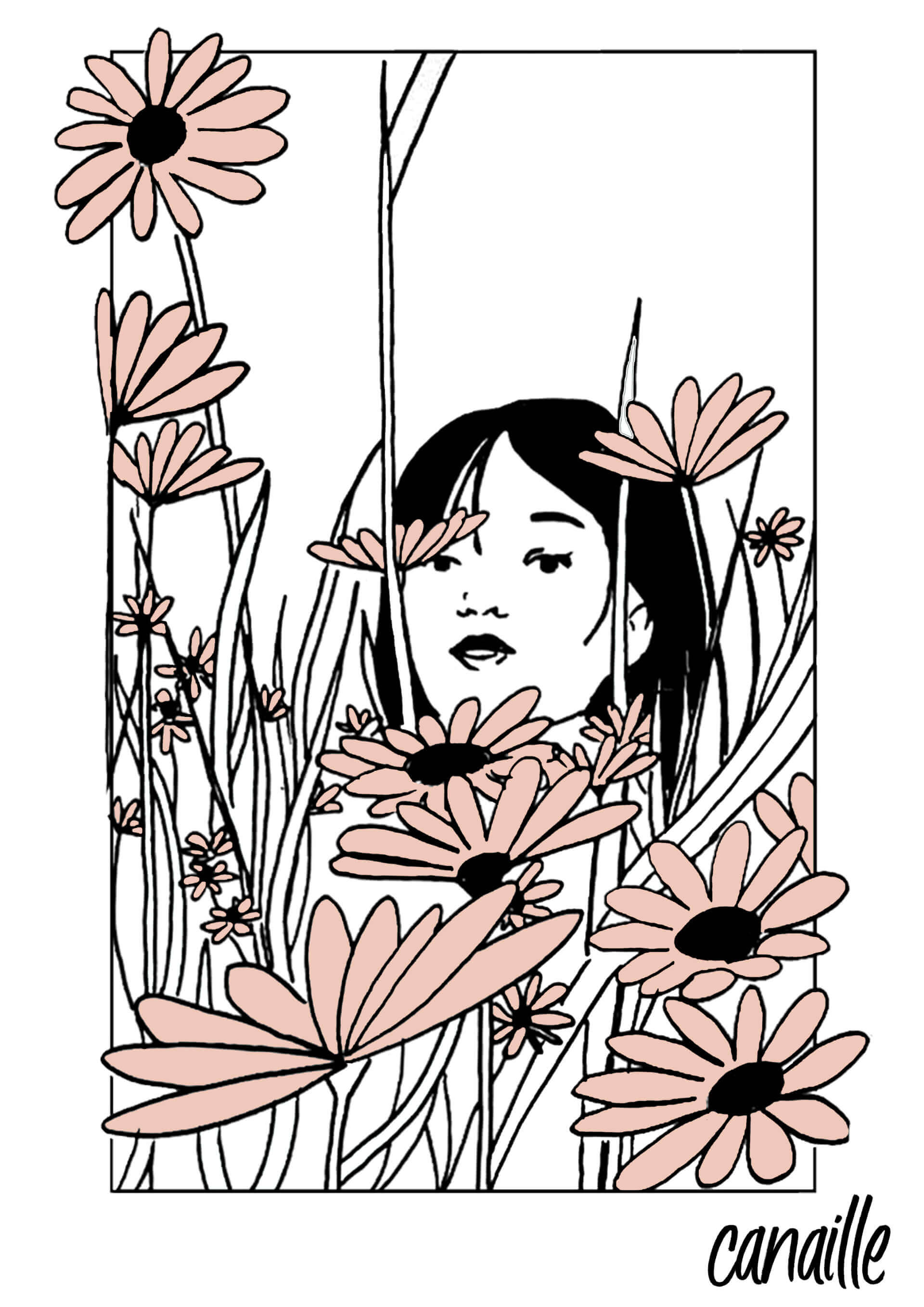 - | Canaille Illustration