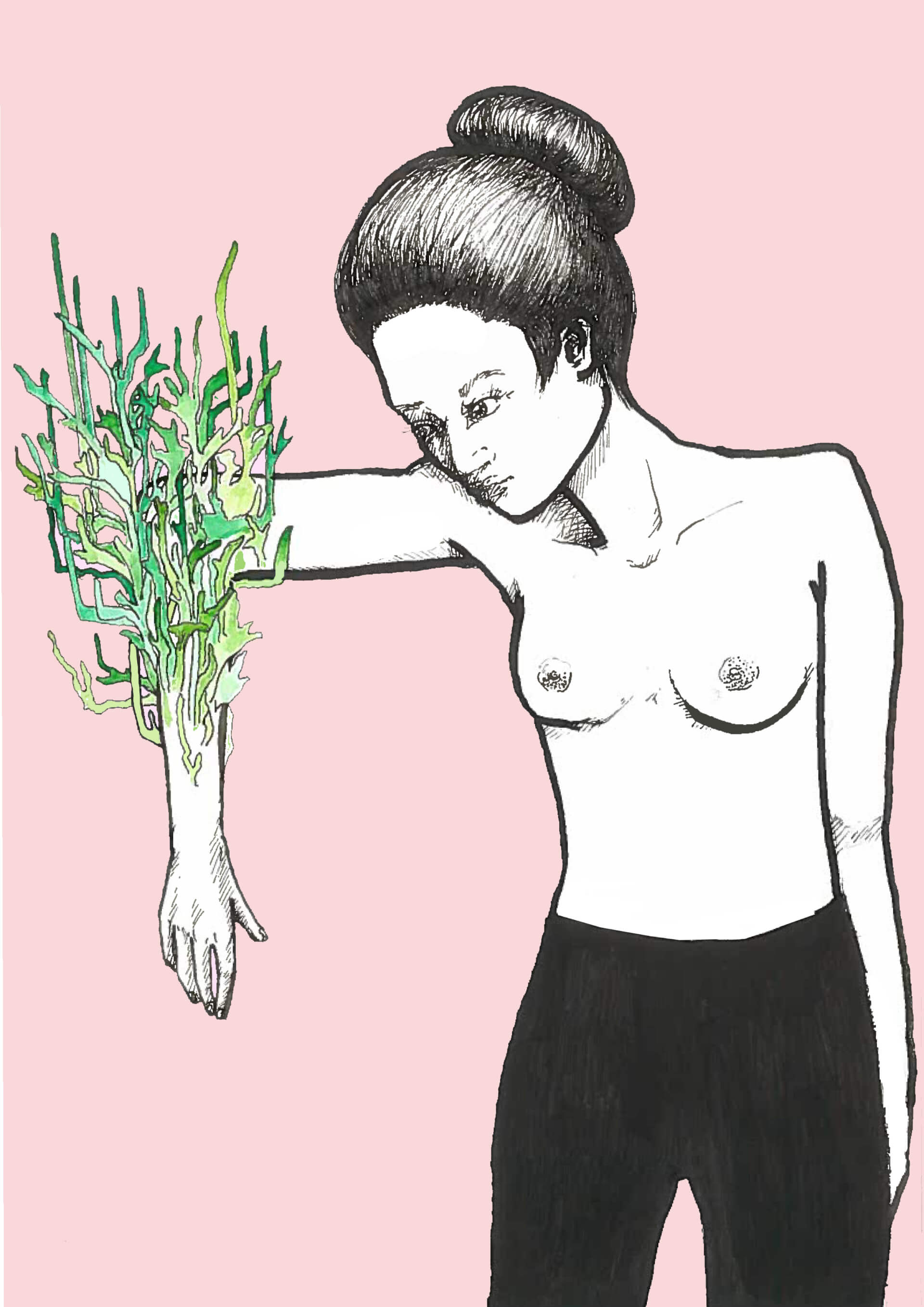 - | Canaille Illustration