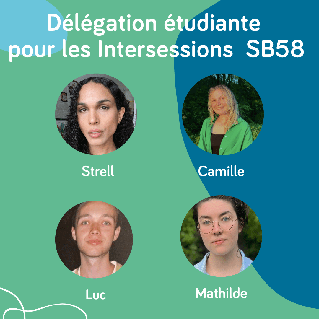 Faire le bilan de l’action des Etats, inclure la société civile : les COP au défi de leur légitimité | RESES