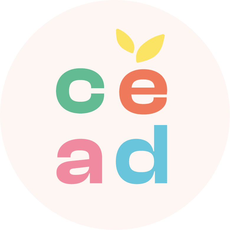 Les membres de la CEAD vont porter leurs recommandations à Bruxelles ! | RESES