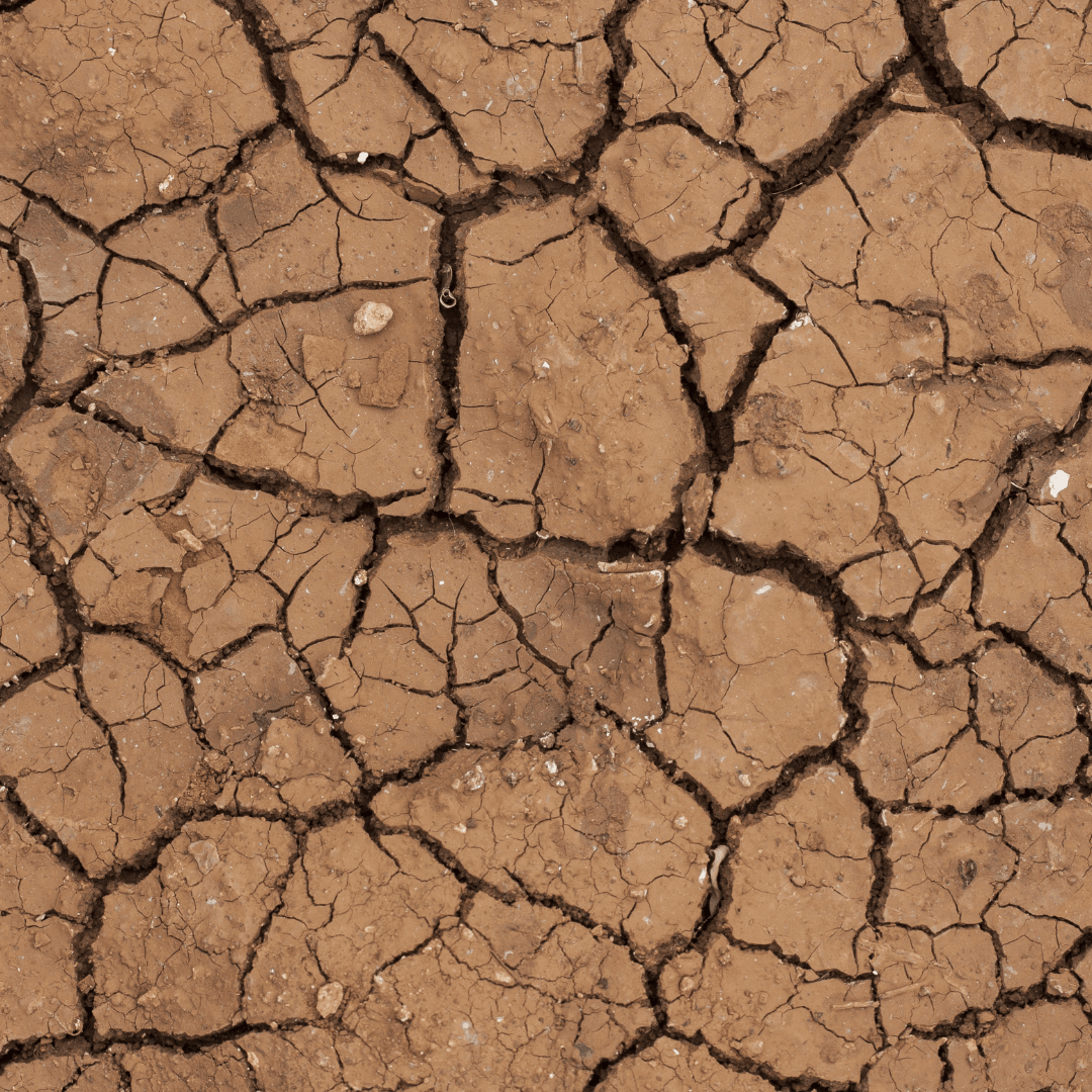 Sécheresse en Espagne et nécessité d’une transition agro-écologique | RESES