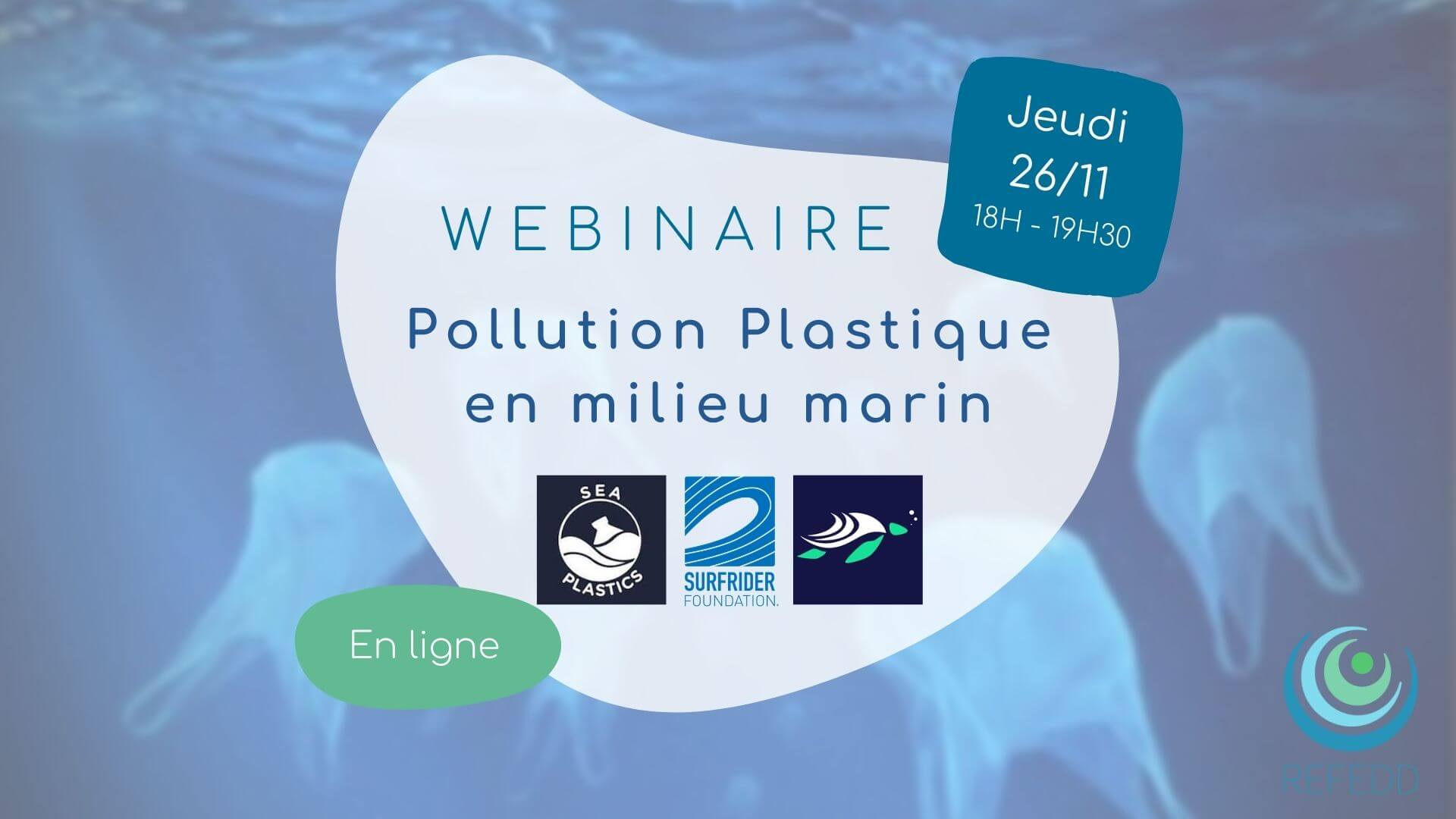 Zoom sur la pollution plastique en milieu marin | RESES