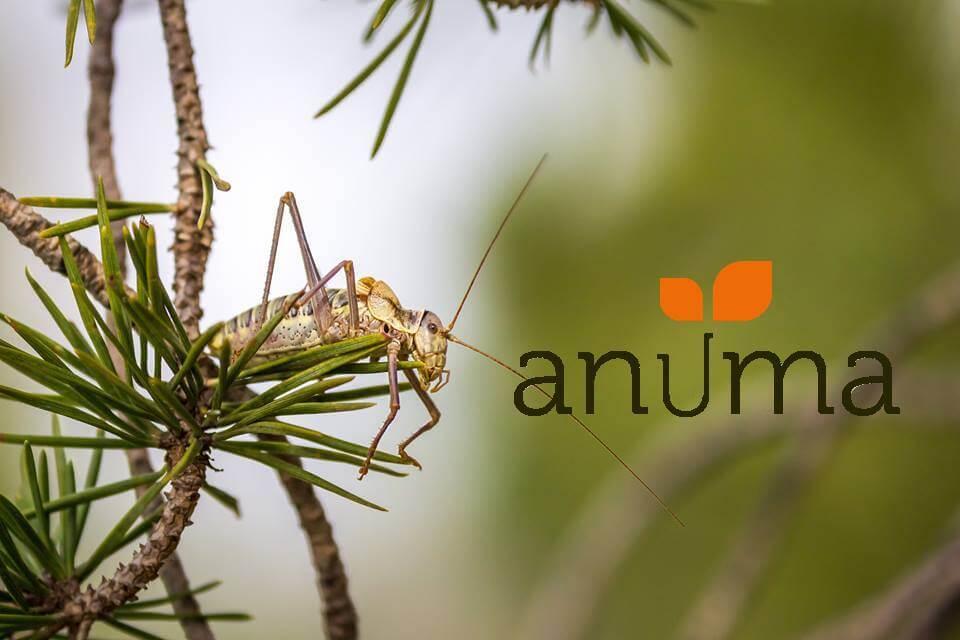 Un sentier biodiversité et bien-être à l'Université de Marseille | RESES