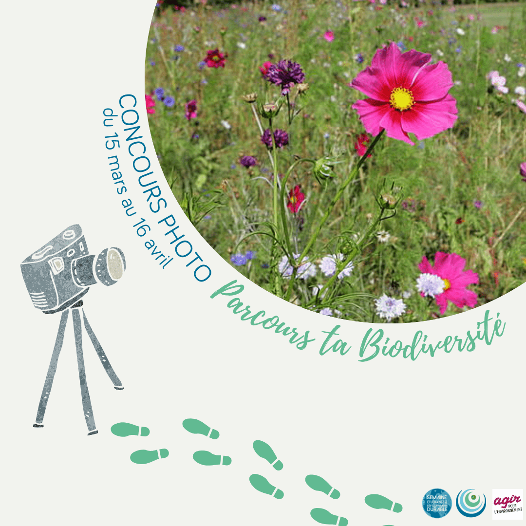 SEDD - Concours photo "Parcours ta biodiversité" | RESES
