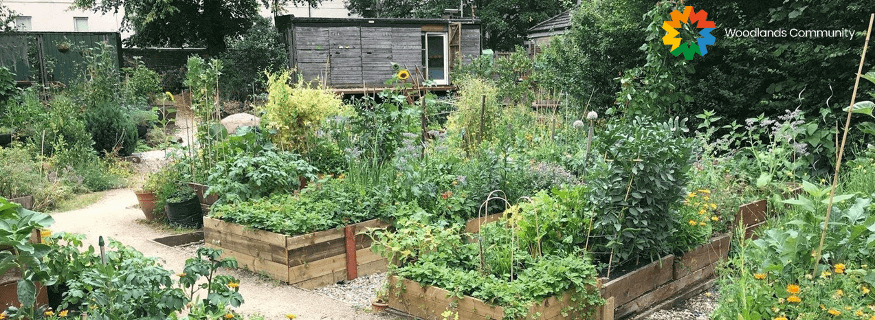 Focus COP 26 - Les communautés alternatives : créer du lien social proche de la nature | RESES