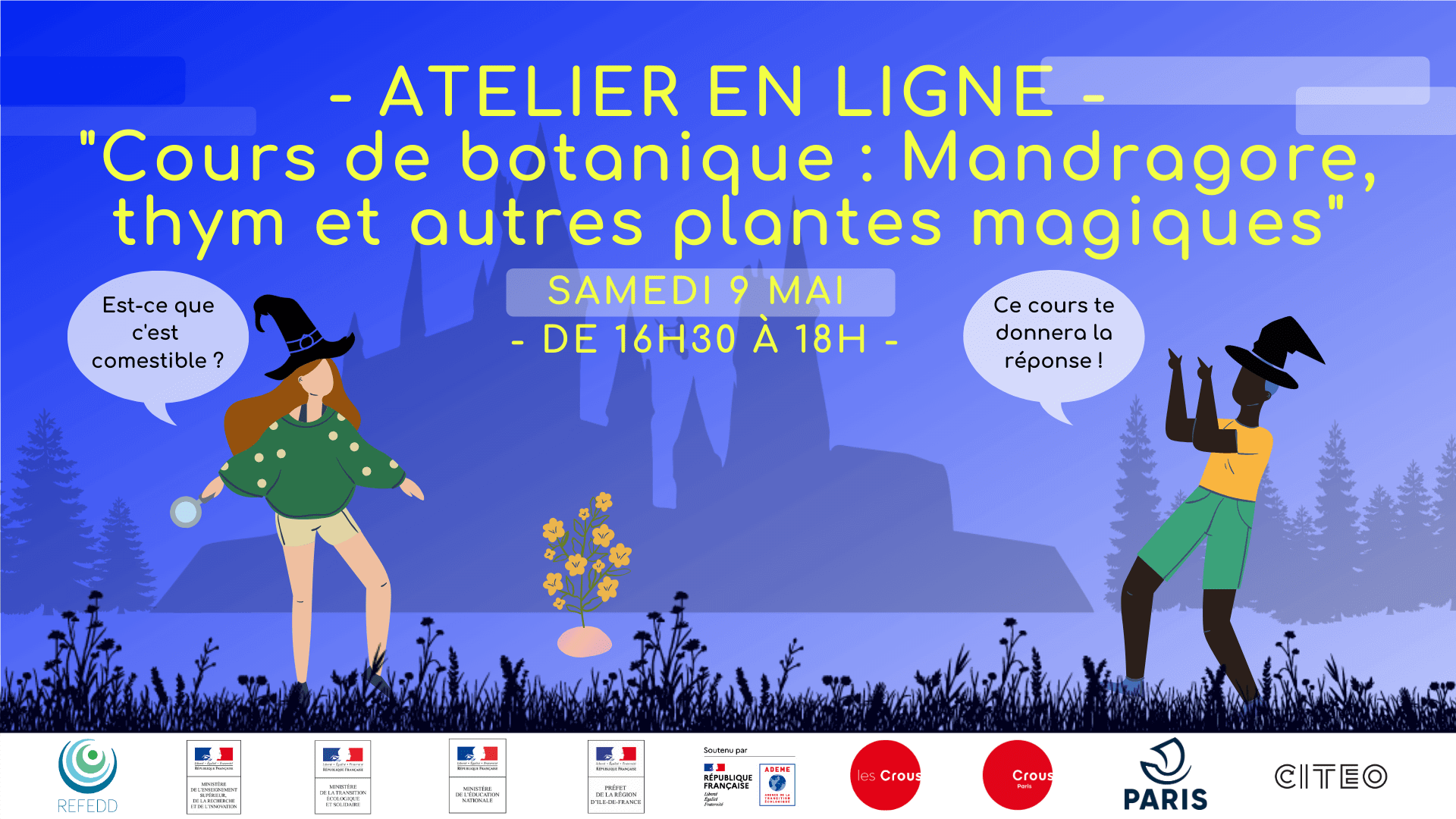 Retour sur notre “Cours de botanique : mandragore, thym et autres plantes magiques” | RESES