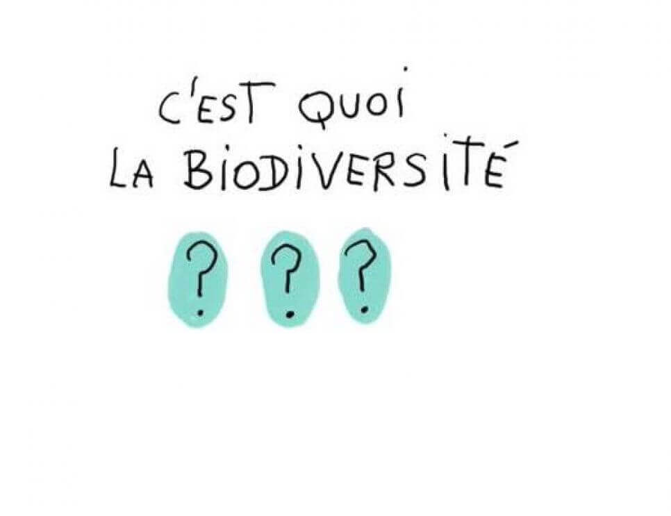 Une histoire de la biodiversité | RESES