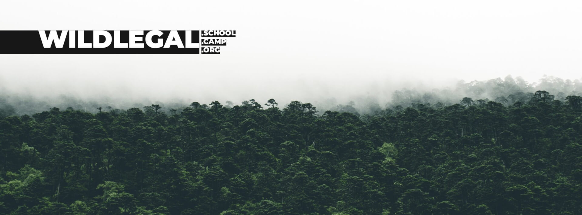 Wild Legal, pour les droits de la nature | RESES