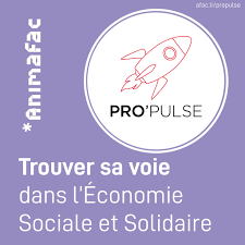 Pro’Pulse, le programme pour l’insertion des jeunes dans l’ESS | RESES