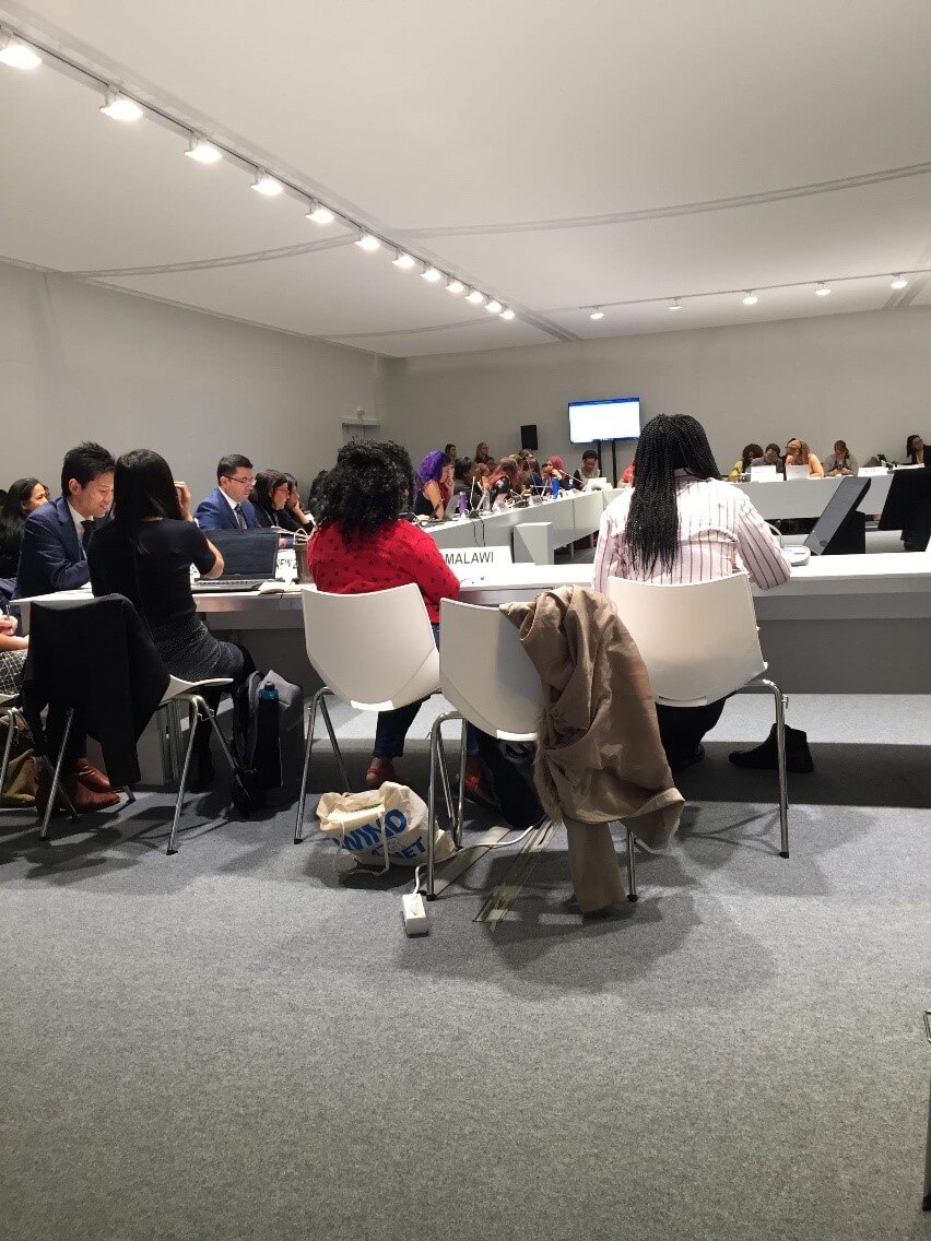 Mettre tout le monde d'accord : prendre des décisions à la COP | RESES