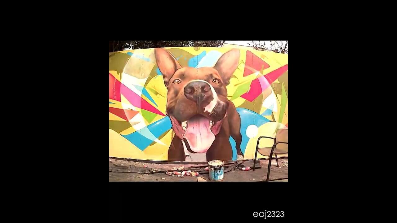 FINAL BULLYBALOO | Casamoyo