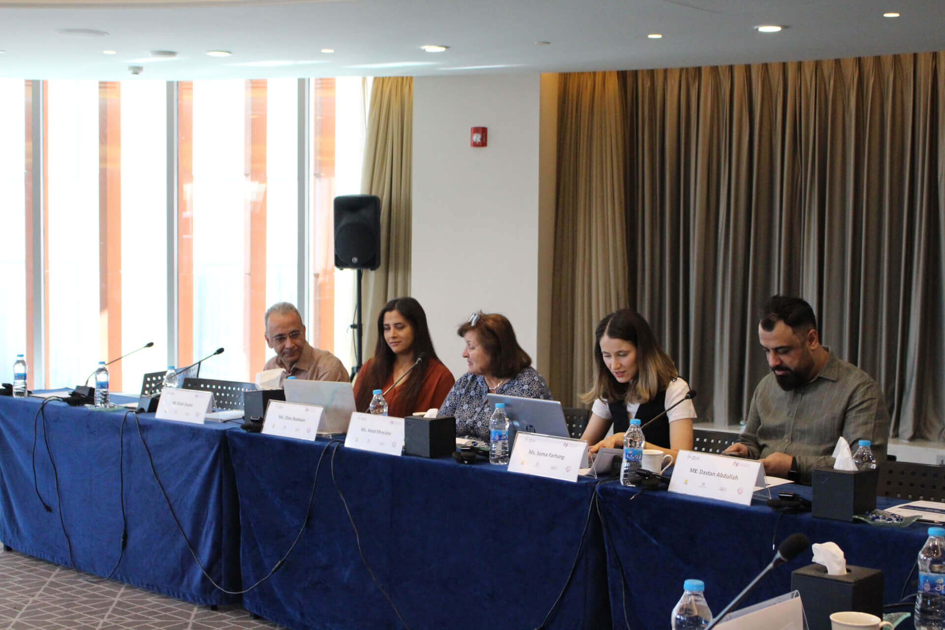 - | EFI - EuroMed Feminist Initiative