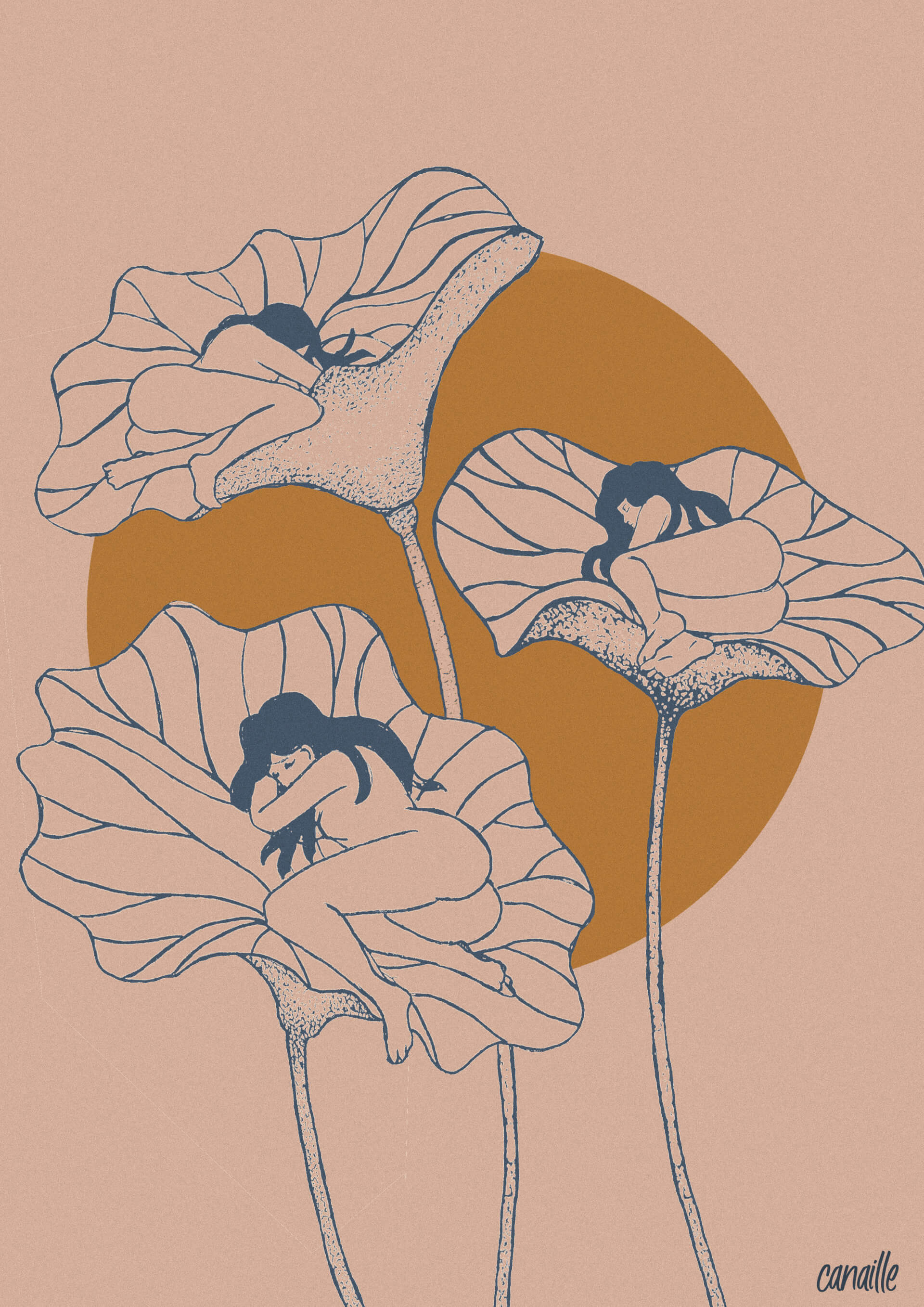 - | Canaille Illustration