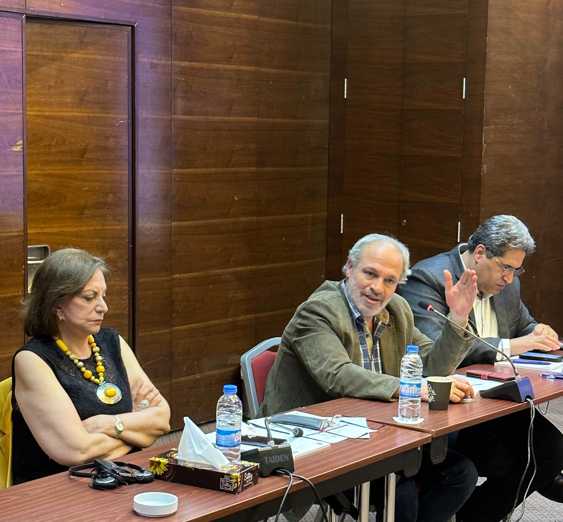 - | EFI - EuroMed Feminist Initiative