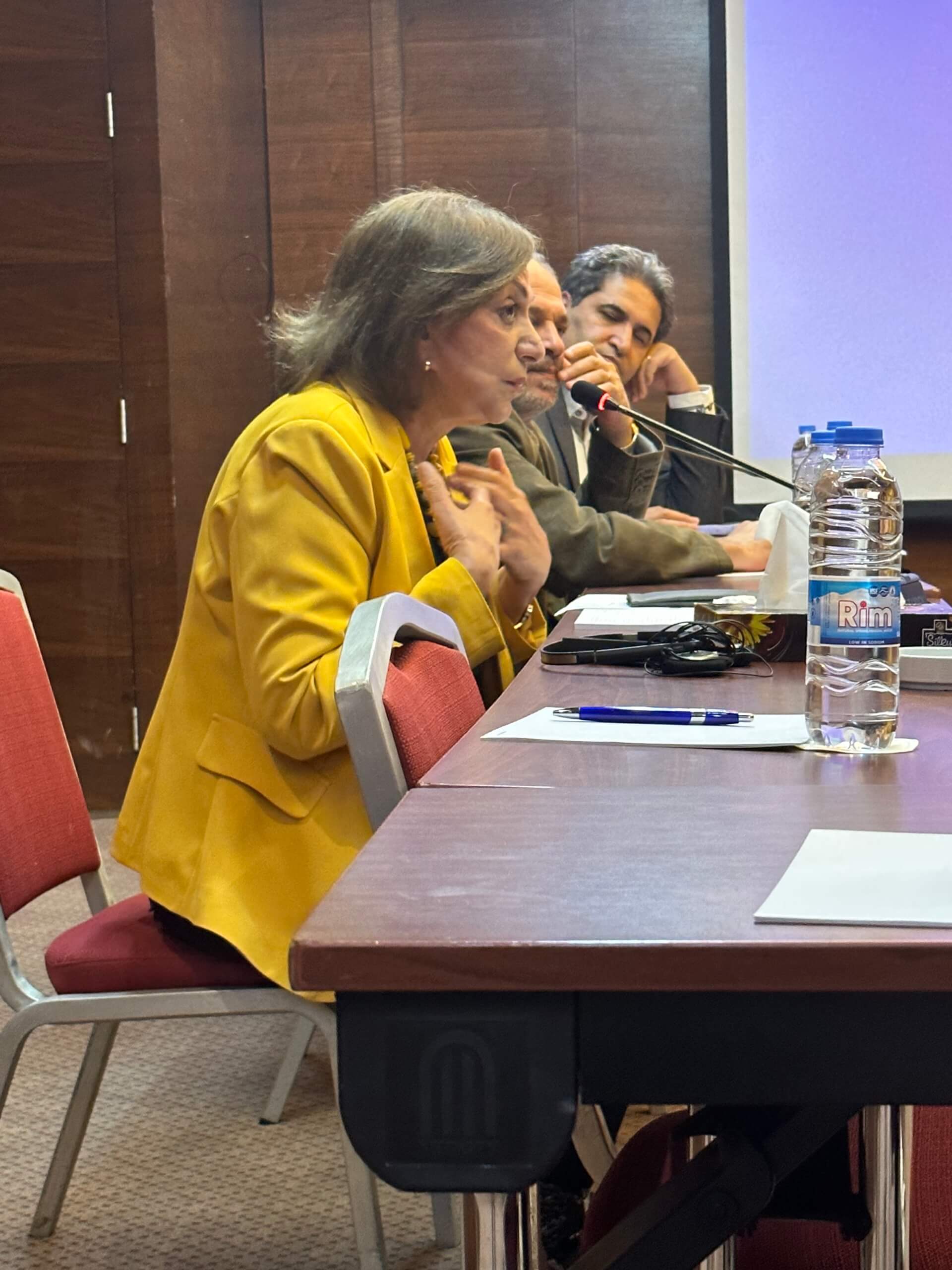 - | EFI - EuroMed Feminist Initiative