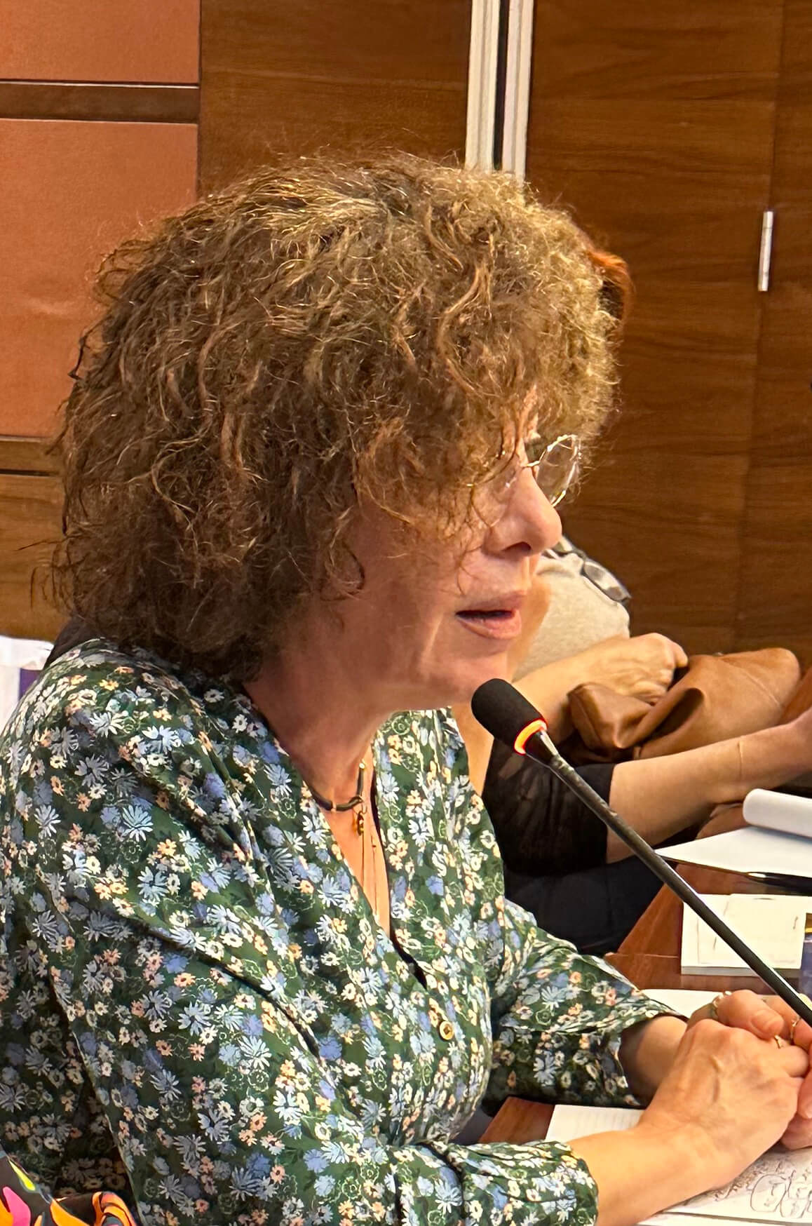 - | EFI - EuroMed Feminist Initiative