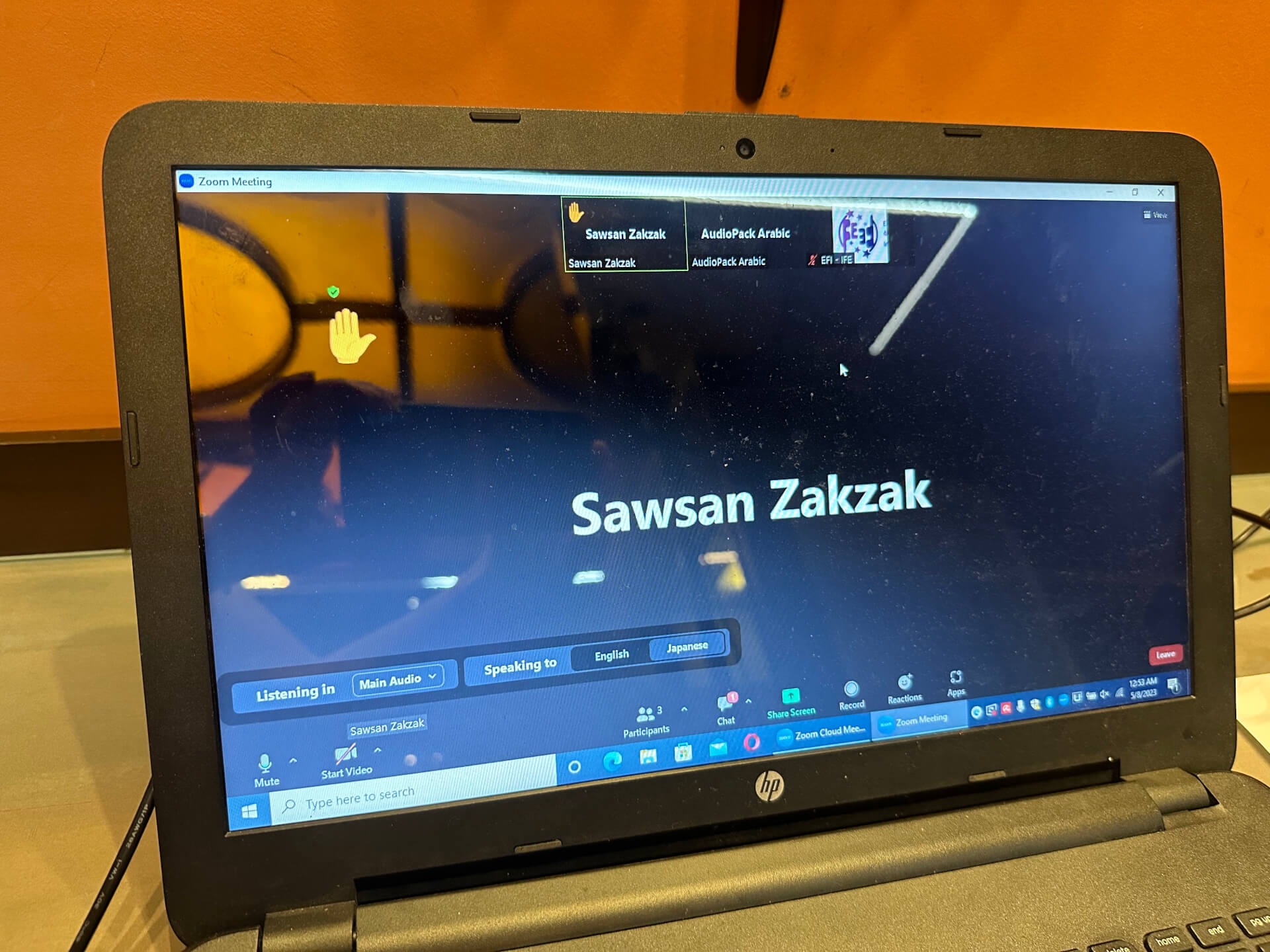 - | EFI - EuroMed Feminist Initiative