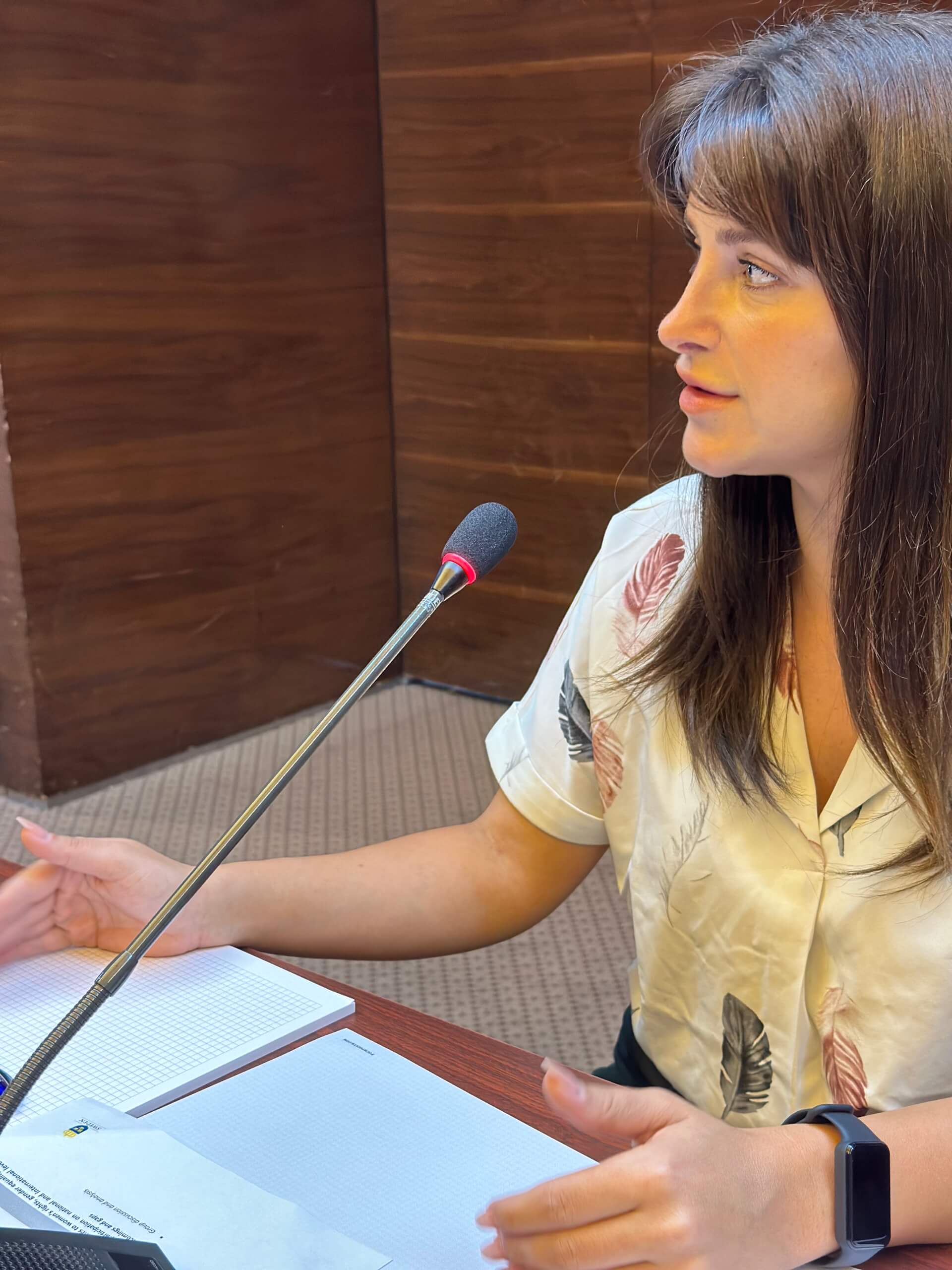 - | EFI - EuroMed Feminist Initiative