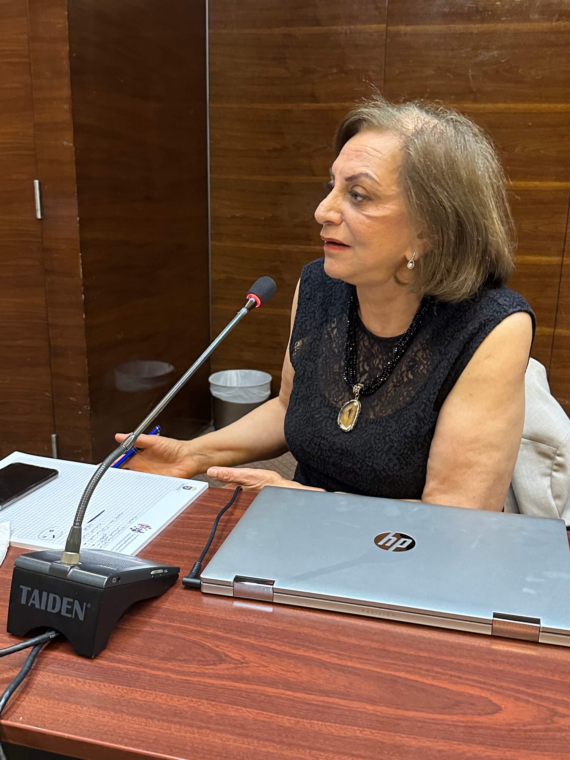 - | EFI - EuroMed Feminist Initiative