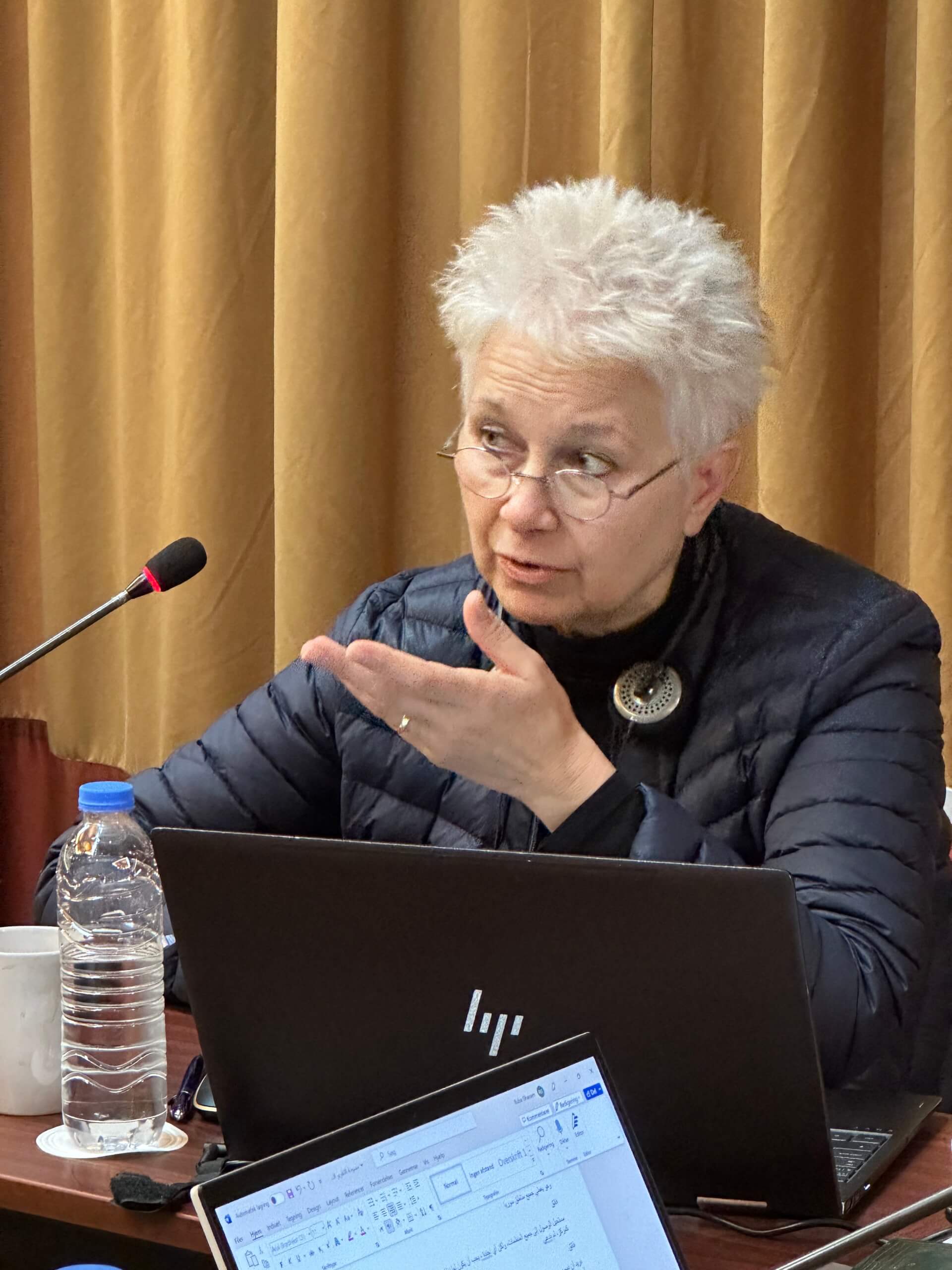 - | EFI - EuroMed Feminist Initiative