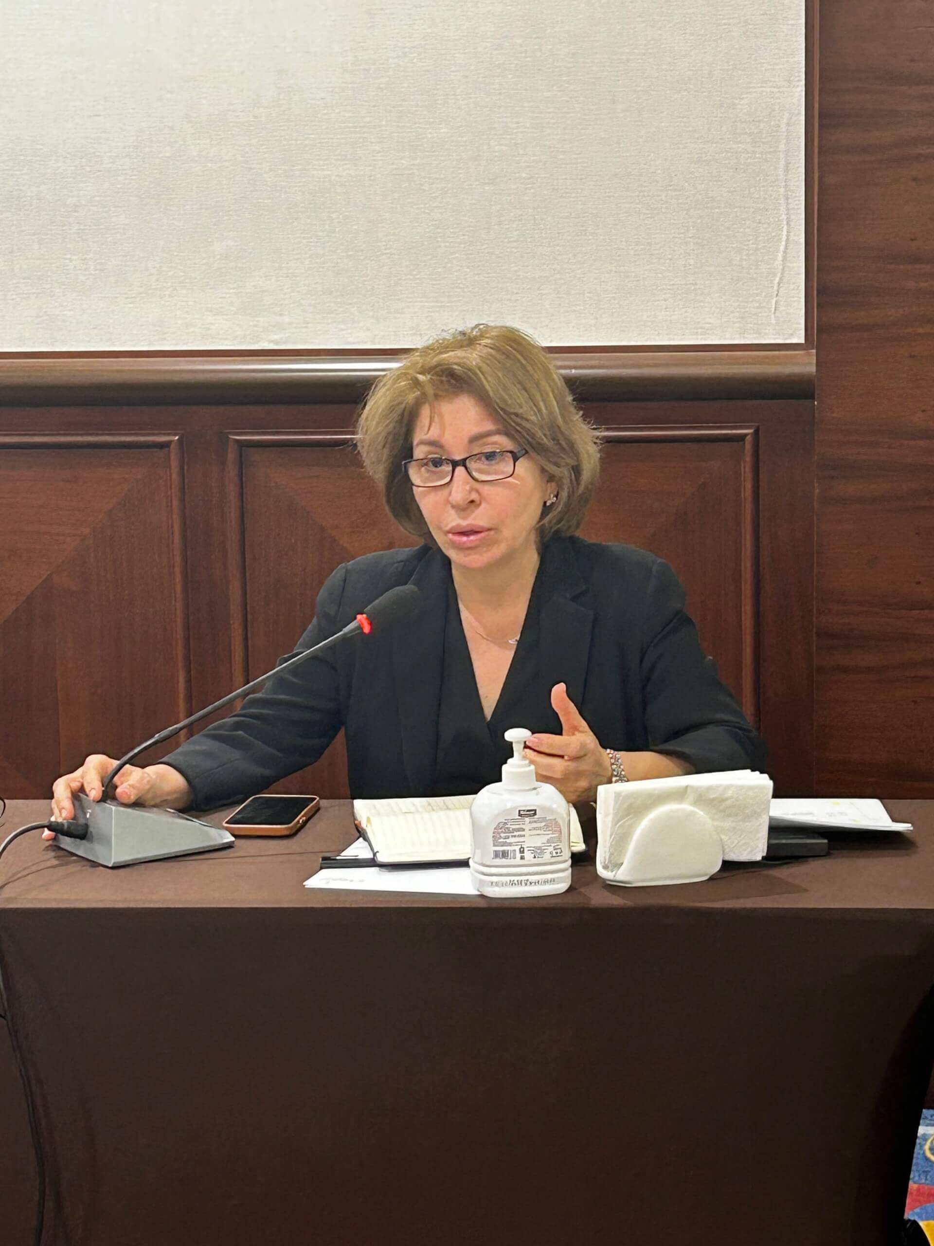 - | EFI - EuroMed Feminist Initiative