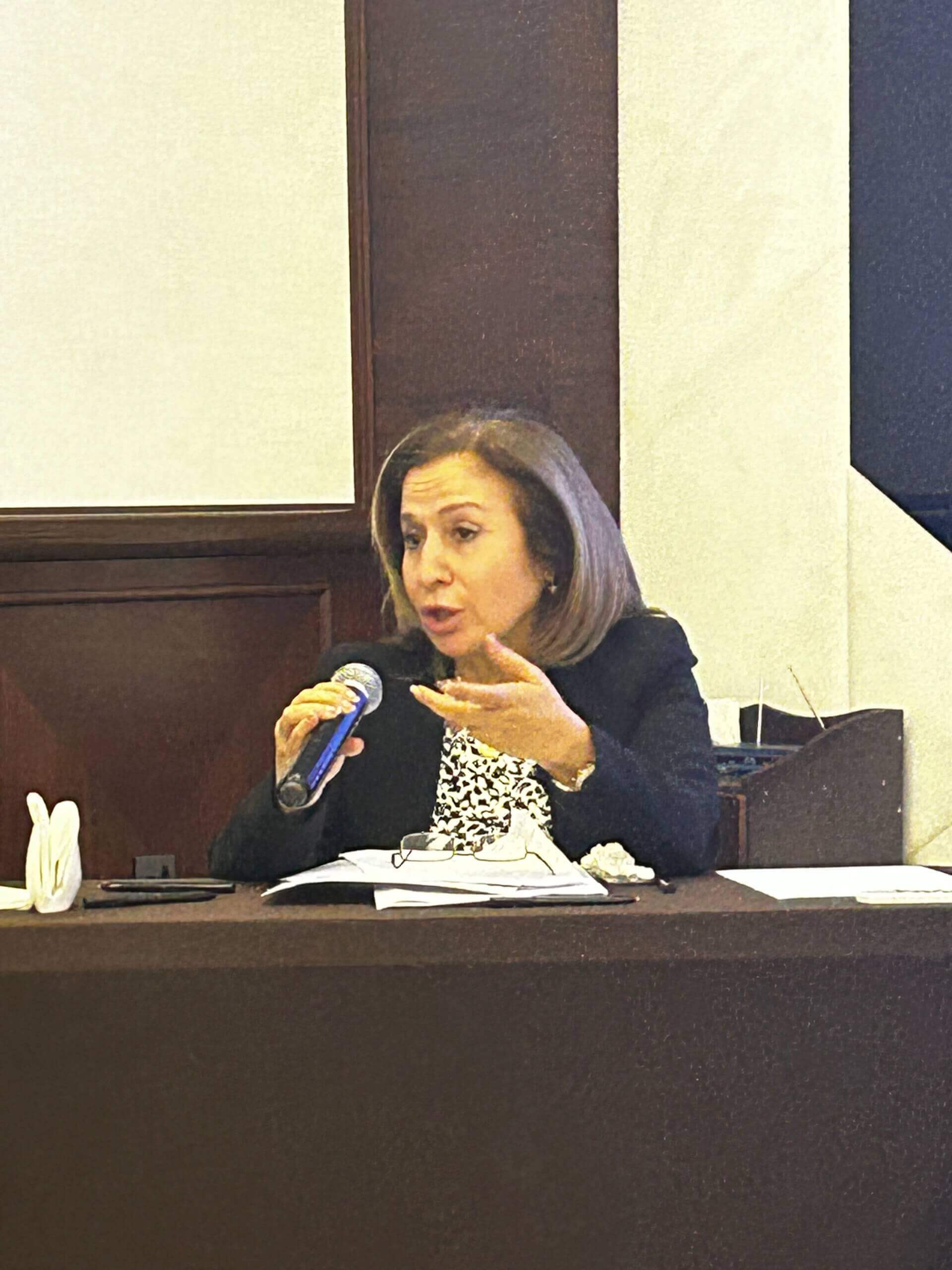 - | EFI - EuroMed Feminist Initiative