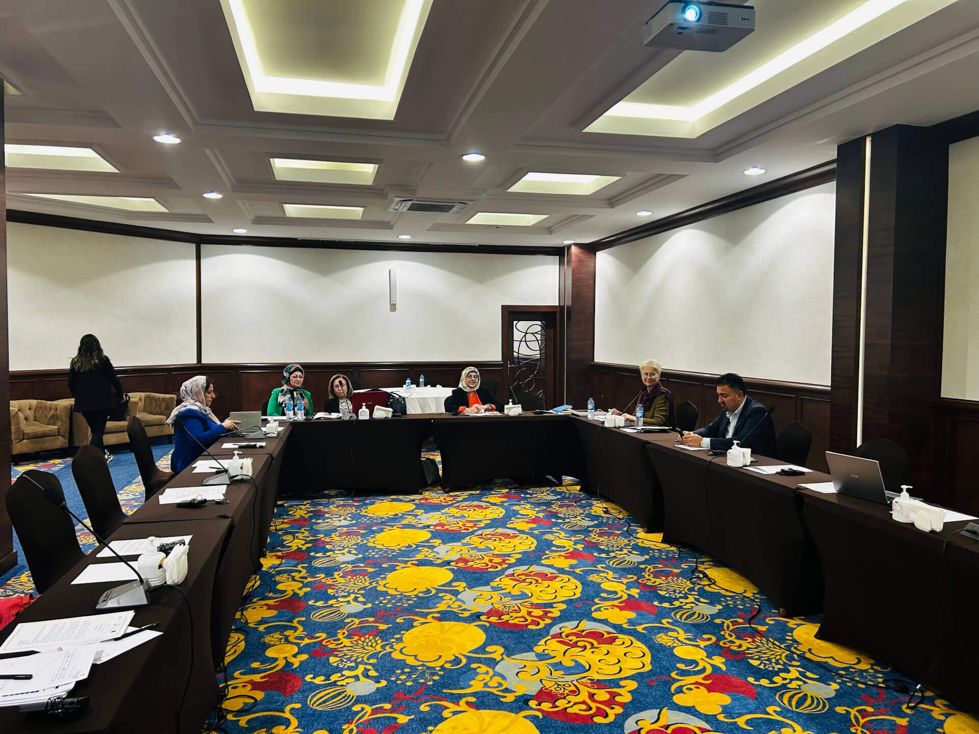 - | EFI - EuroMed Feminist Initiative