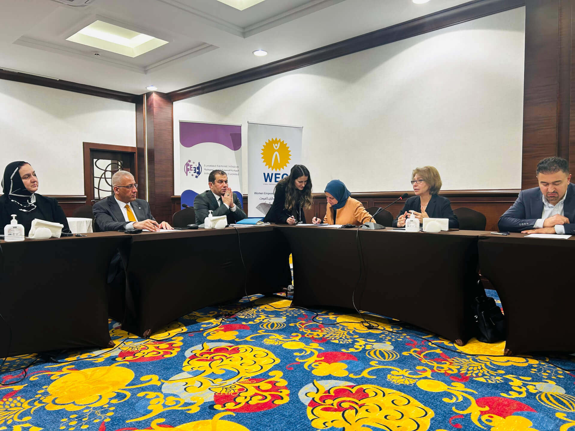 - | EFI - EuroMed Feminist Initiative