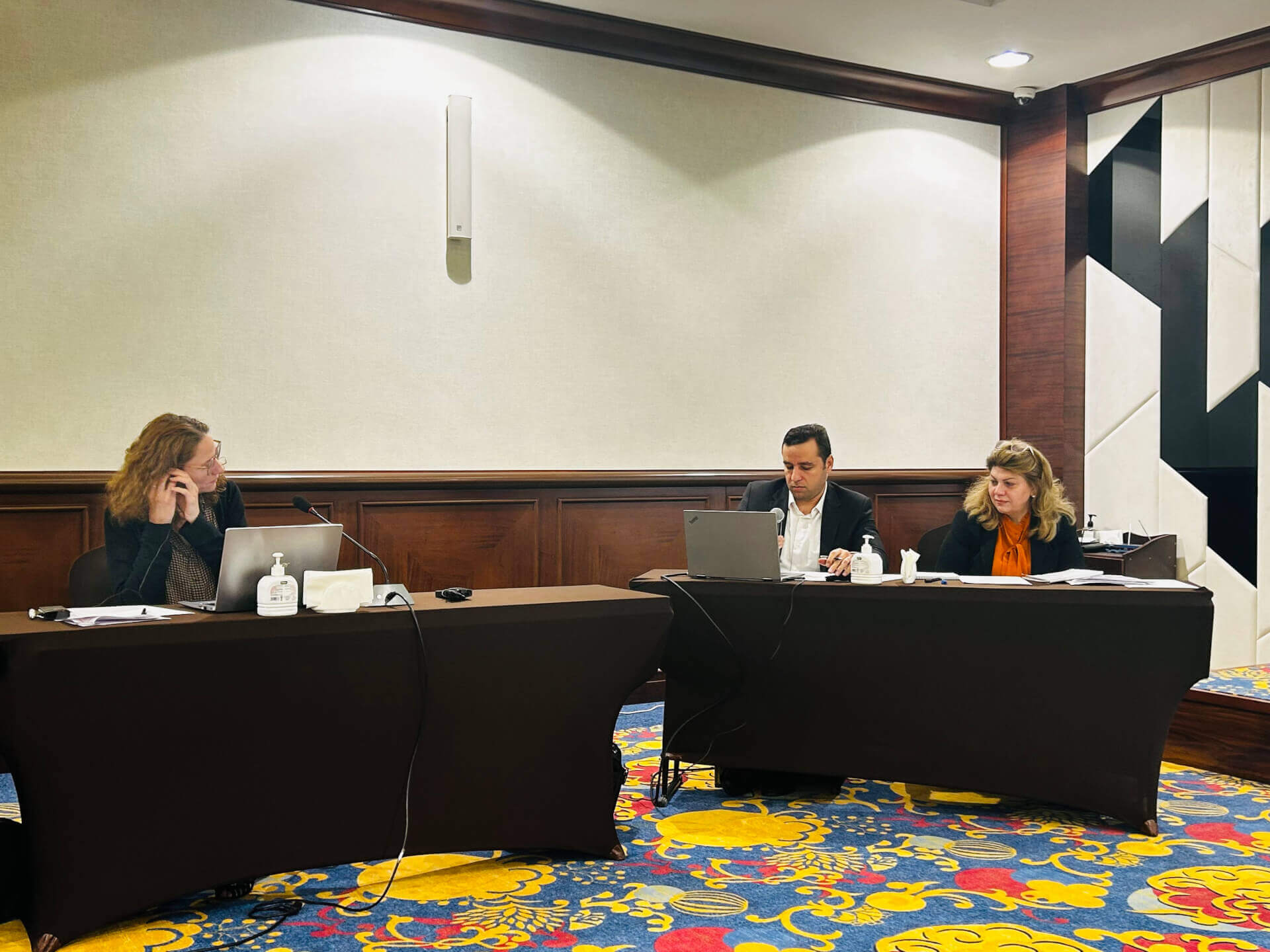 - | EFI - EuroMed Feminist Initiative