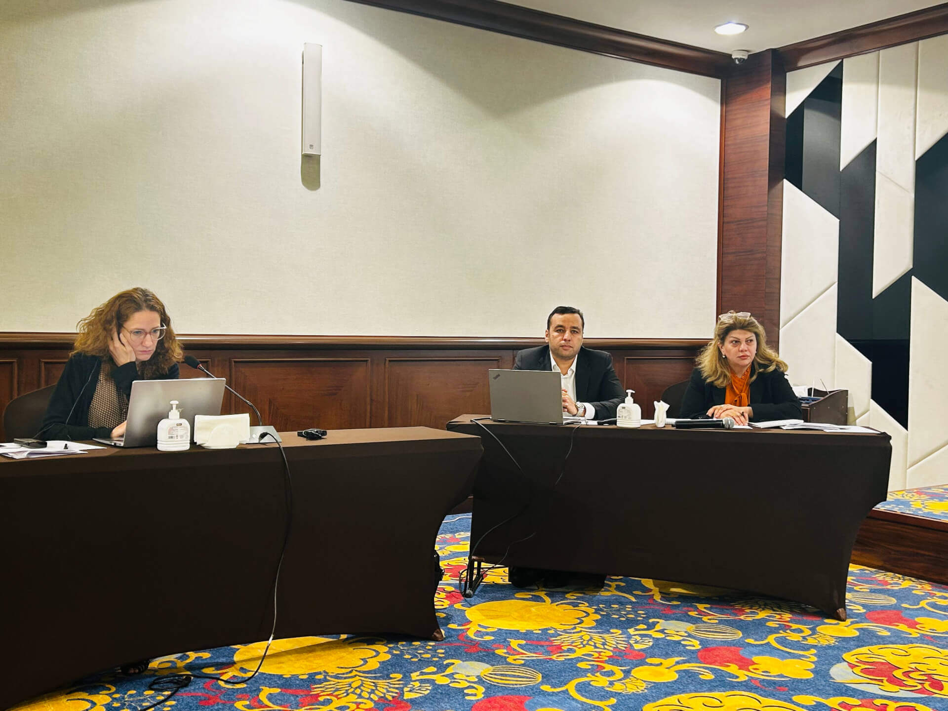 - | EFI - EuroMed Feminist Initiative