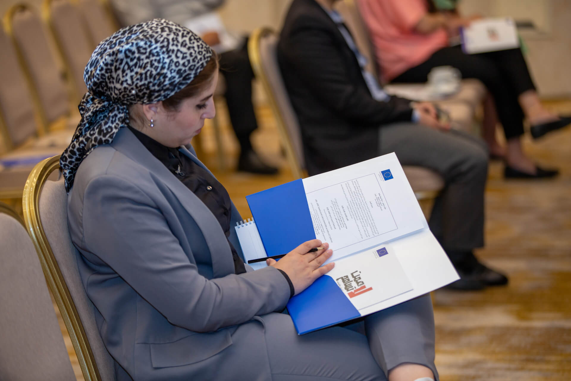 - | EFI - EuroMed Feminist Initiative