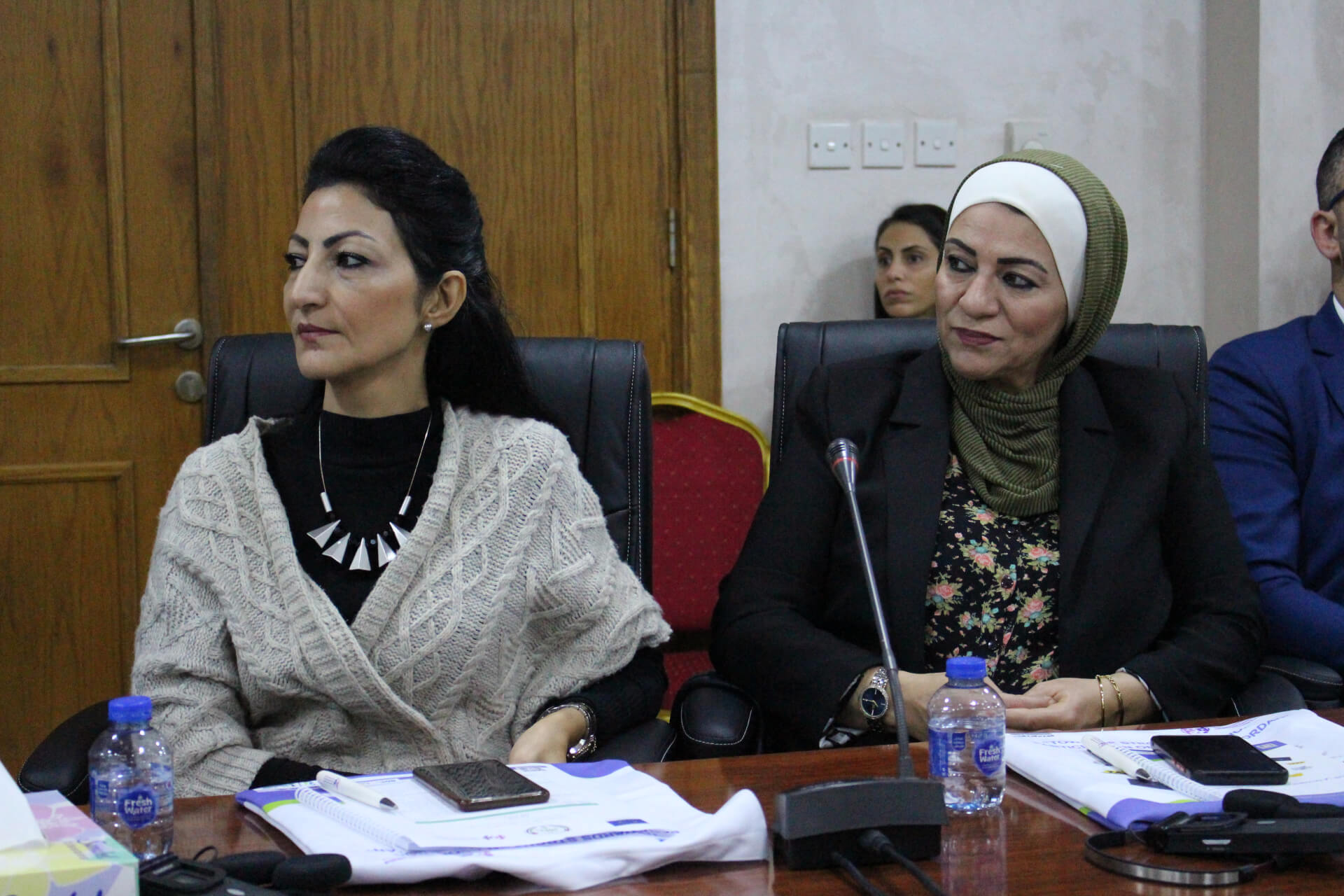 - | EFI - EuroMed Feminist Initiative