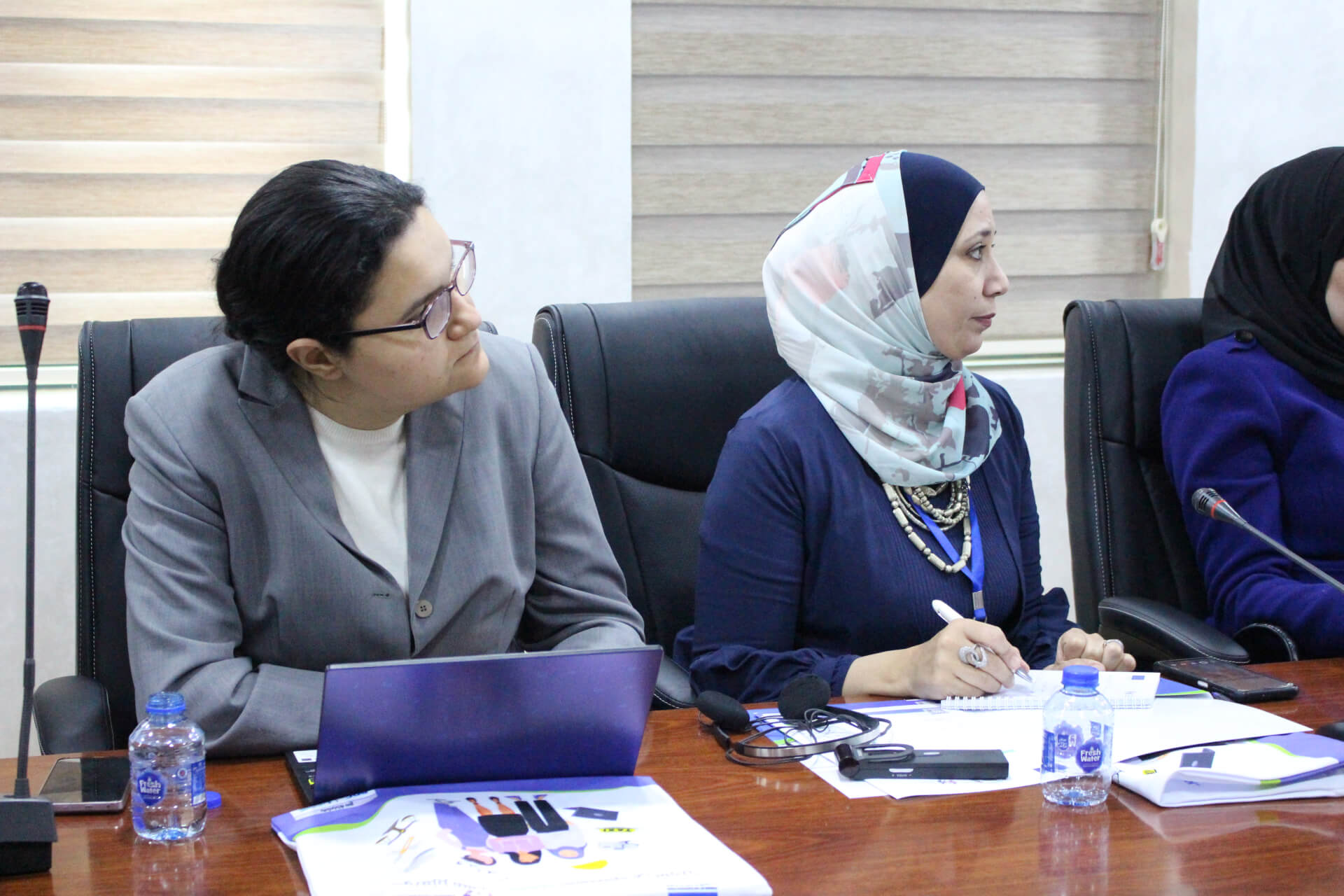 - | EFI - EuroMed Feminist Initiative