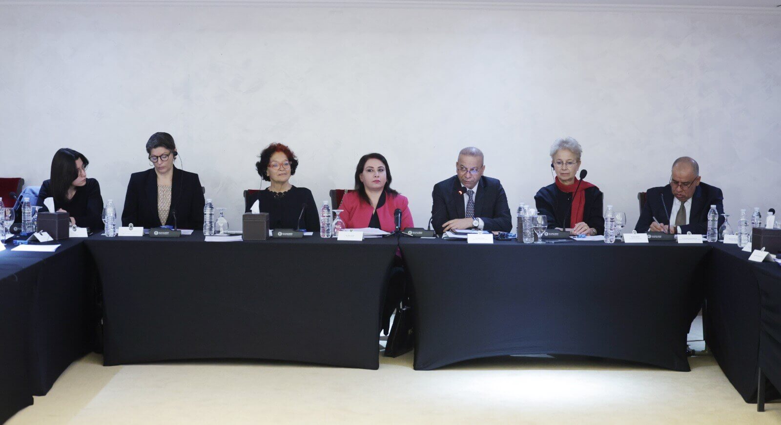 - | EFI - EuroMed Feminist Initiative