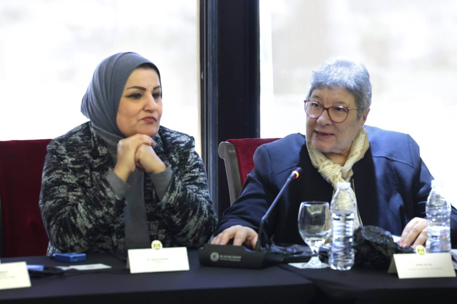 - | EFI - EuroMed Feminist Initiative