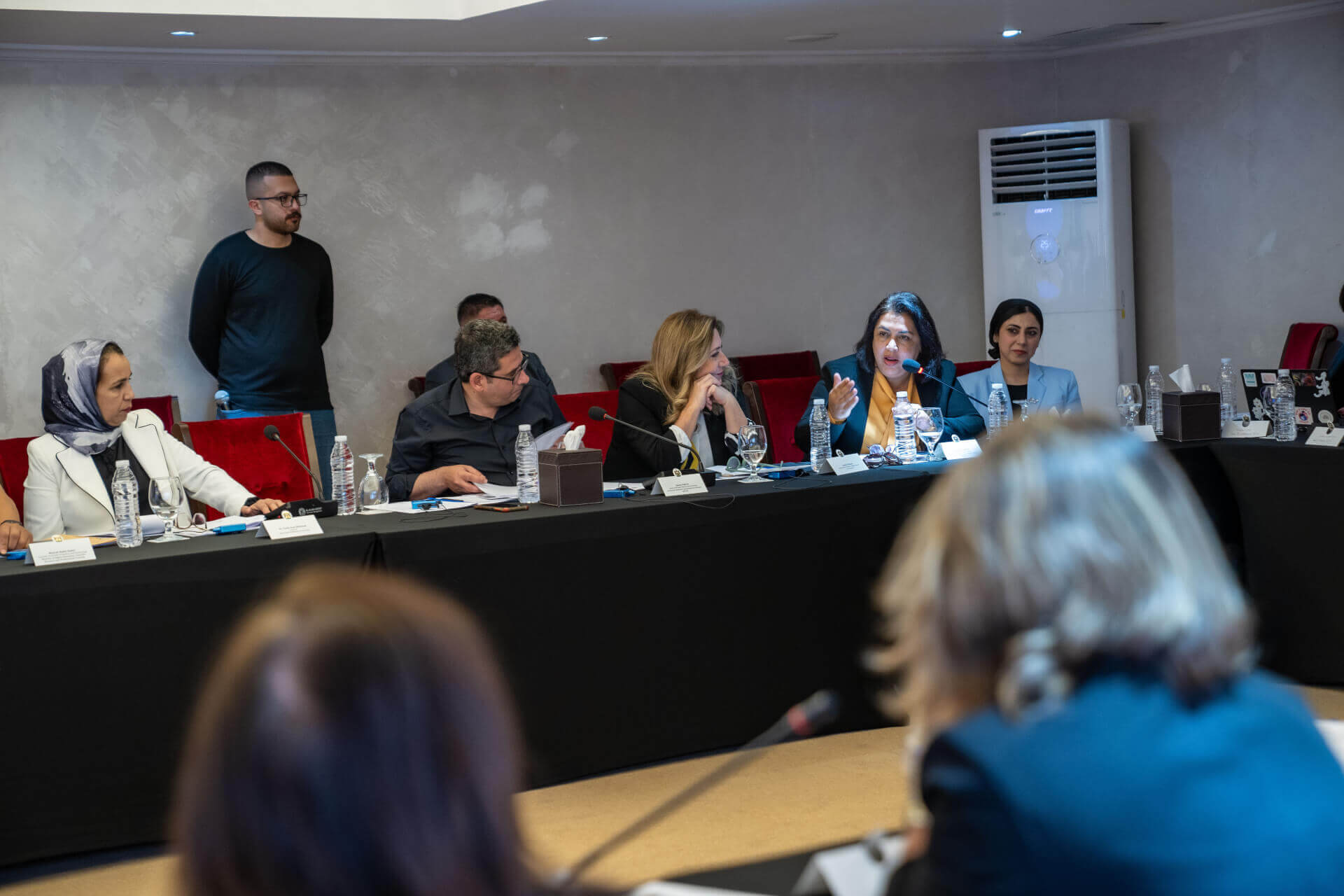 - | EFI - EuroMed Feminist Initiative