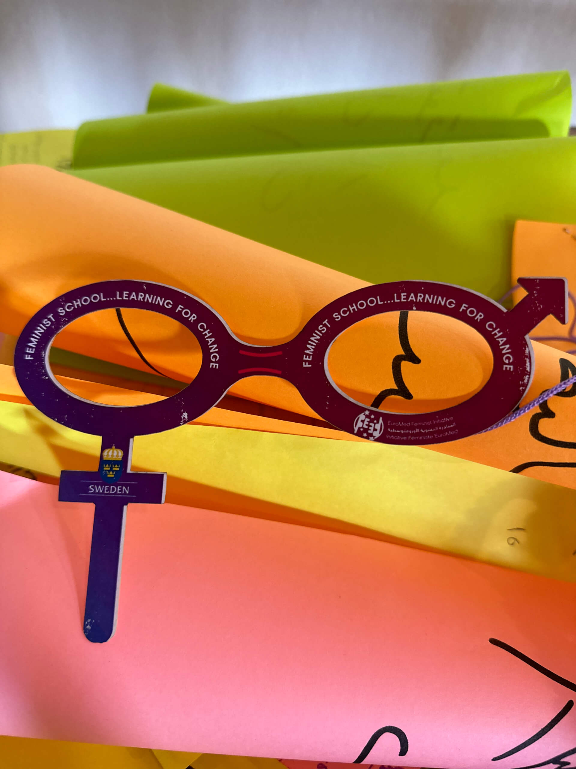 - | EFI - EuroMed Feminist Initiative