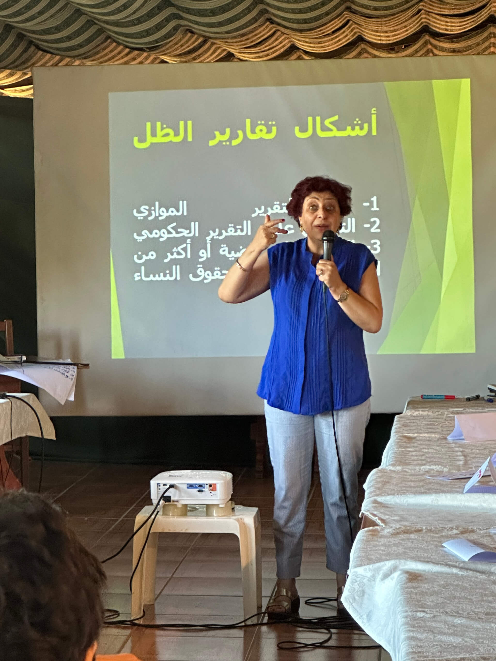 - | EFI - EuroMed Feminist Initiative