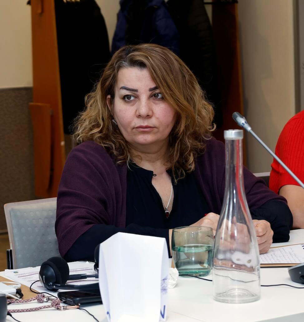 - | EFI - EuroMed Feminist Initiative